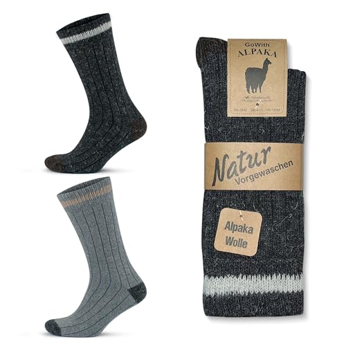 Gray/Ant - 2 Pairs (Model:3093)