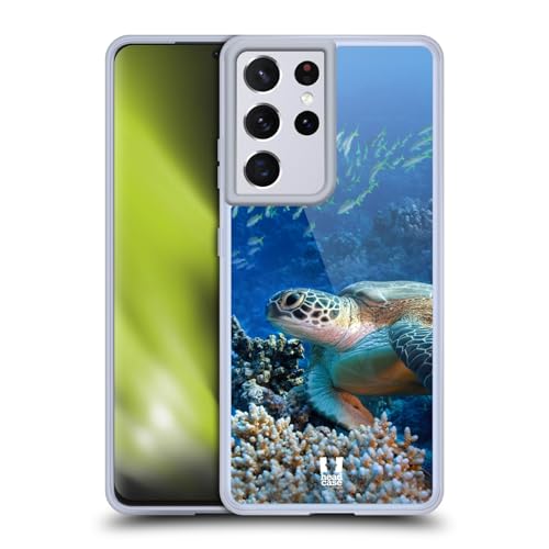 Sea Turtle Sitting On Coral Reef