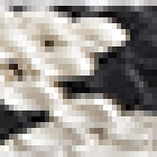 Sandstone