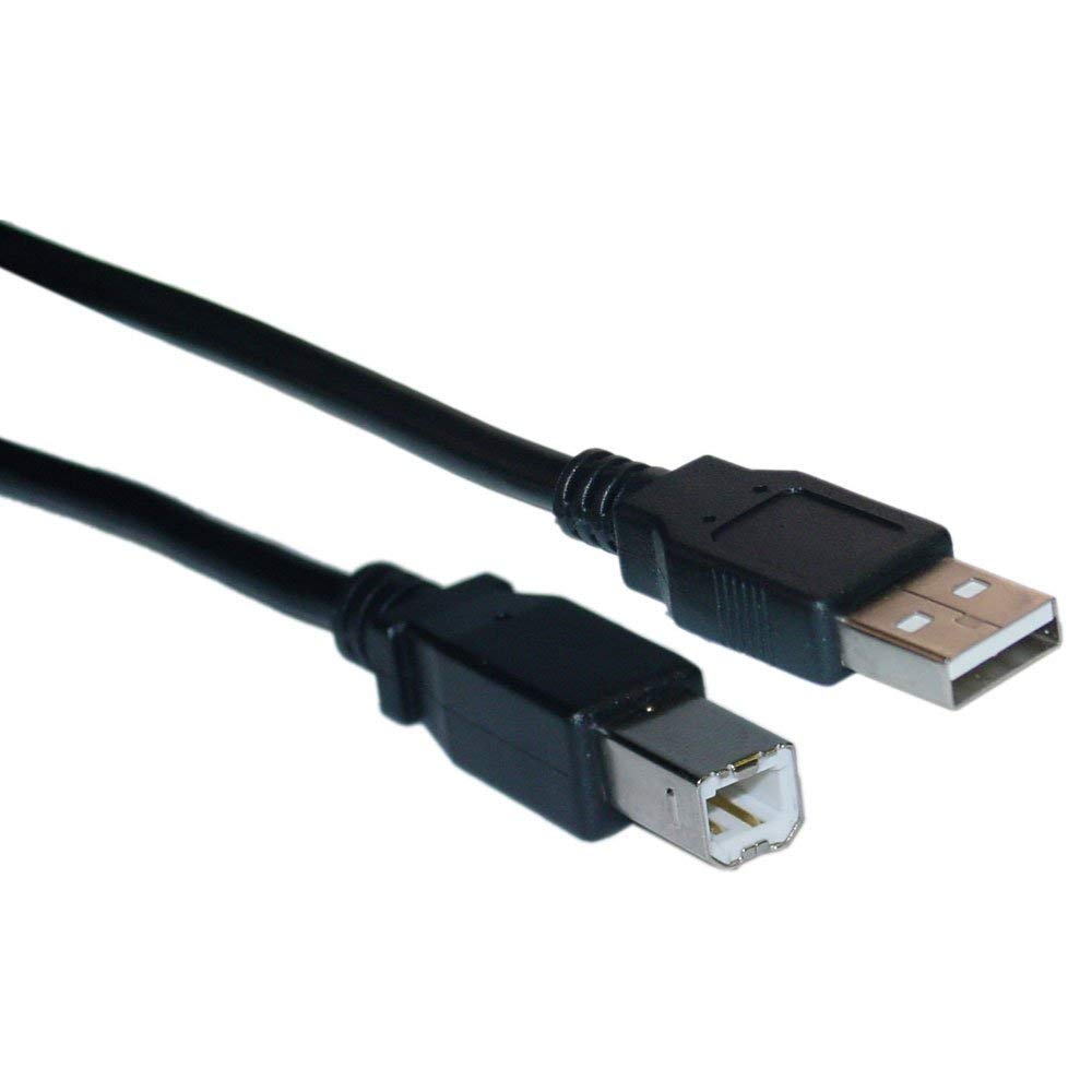 10 FT USB 2.0 Printer Cable Cord A-B Male to Male - High-Speed Data Transfer for Printers, Scanners & More - Perfect for Home Office, Workstation & Tech Setup (10 Feet)