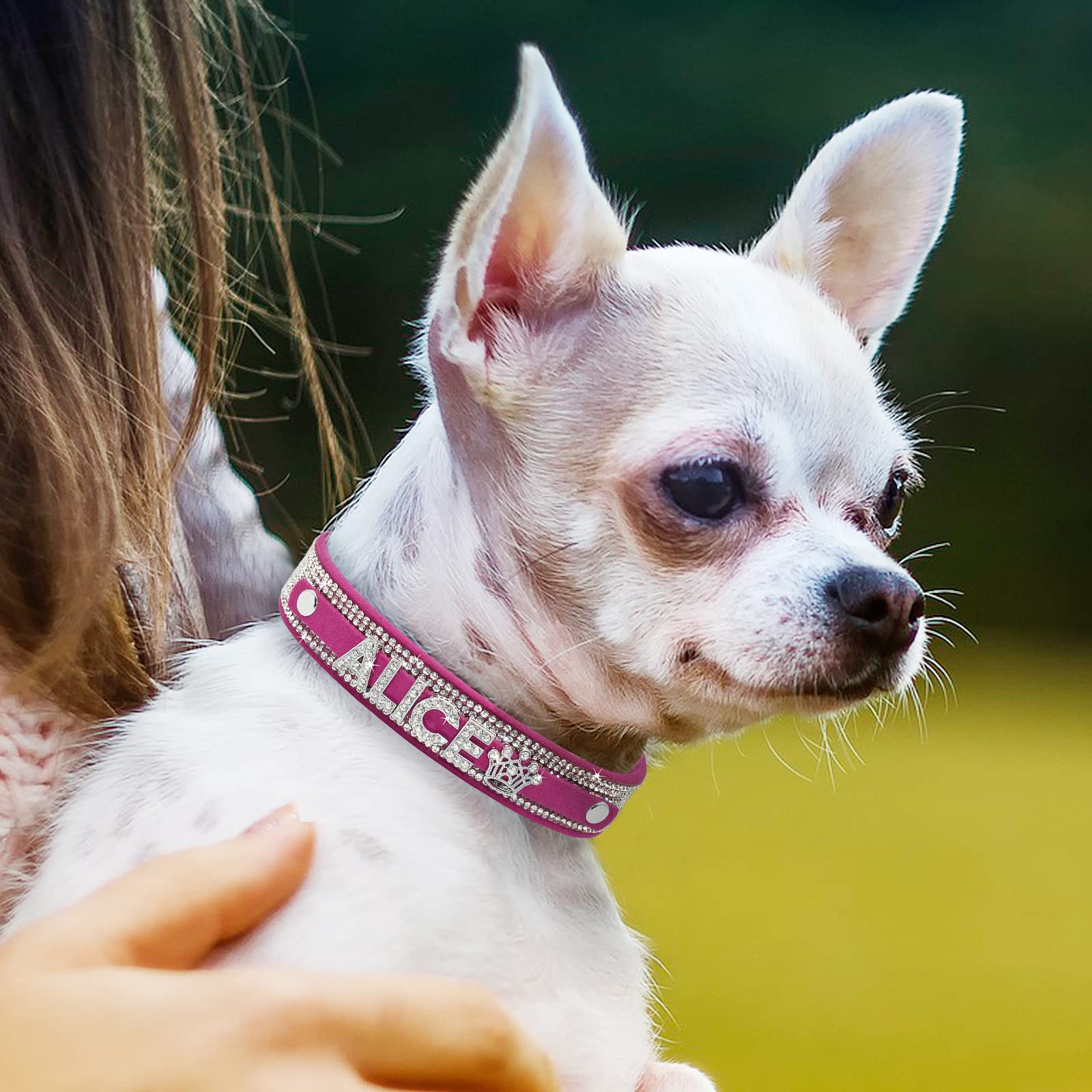 Custom Sparkling Rhinestones Dog Collar - Personalized Bling Name Collar for Small, Medium & Large Dogs (M, Hot Pink) | Perfect for Pet Parties, Daily Walks & Fashion Accessories