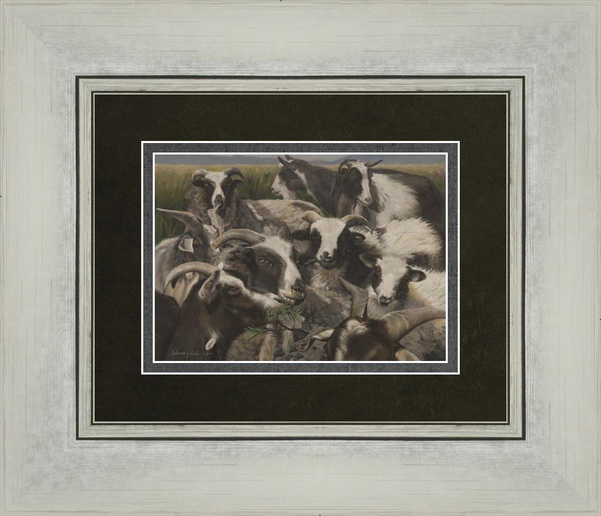 Liz Lemon Swindle Sheep and Goats Art Print - Beautiful Farm Animal Wall Decor for Home, Office, or Nursery