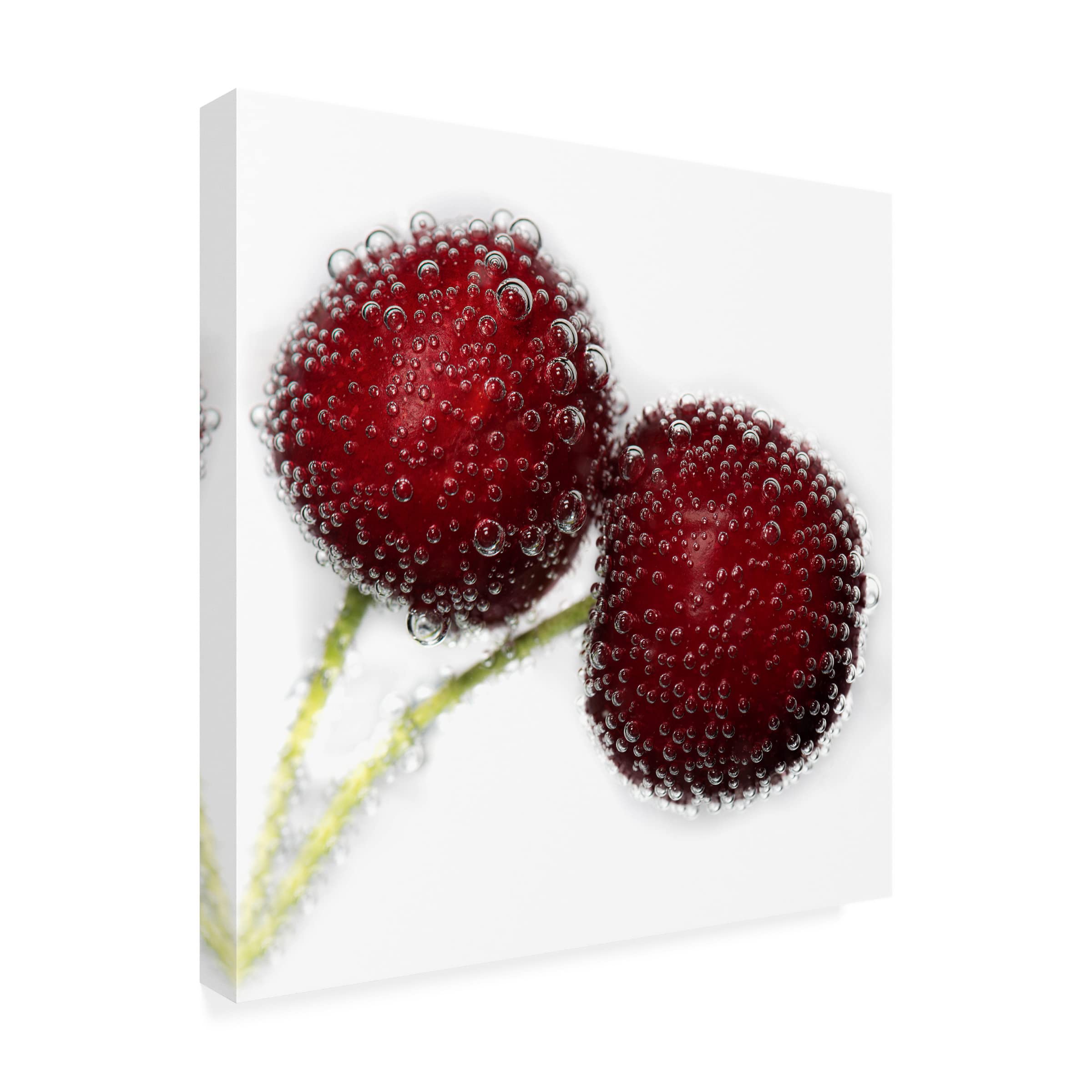 Trademark Fine Art 'Bubbles' Canvas Wall Art by Xavier Garcia - Modern Abstract Painting for Living Room, Bedroom & Office Decor