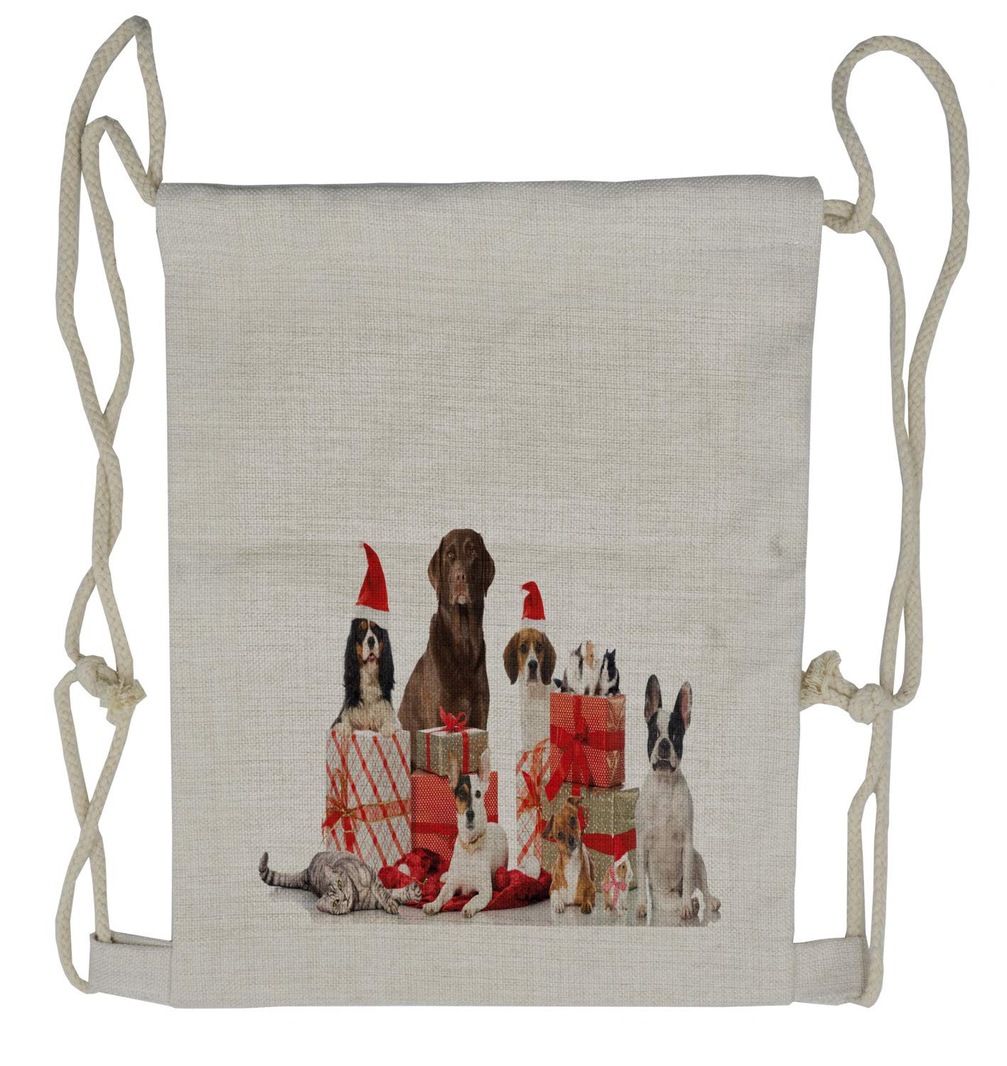 Ambesonne Christmas Drawstring Backpack for Holiday Gifts | Pet Surprise Boxes & Sackpack Bag for Travel, School & Festive Events