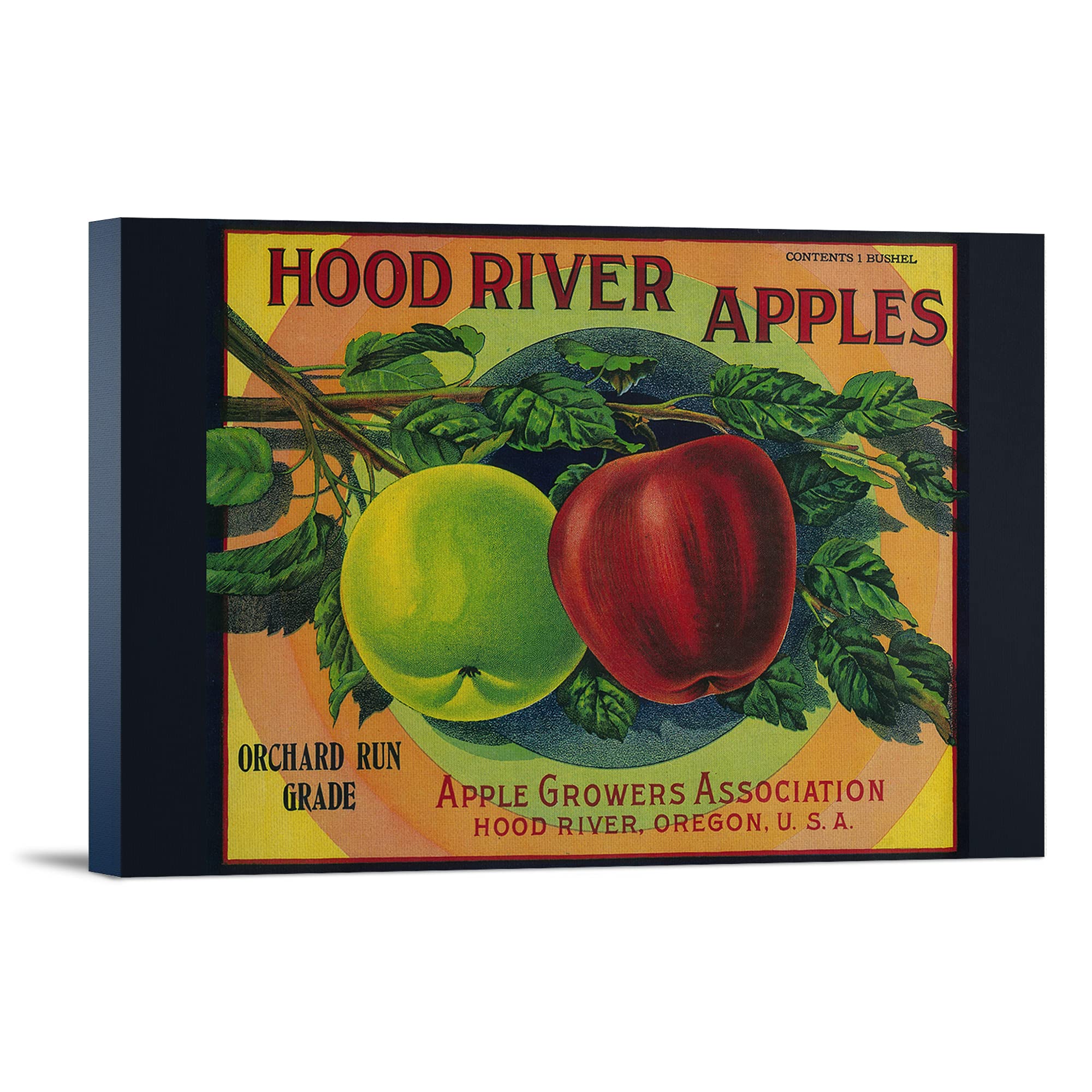 Vintage Hood River Apple Crate Label Art Print - 16x24 Wrapped Canvas Wall Decor - Farmhouse Kitchen & Home Office Artwork - Perfect for Rustic & Country Style Interior Design
