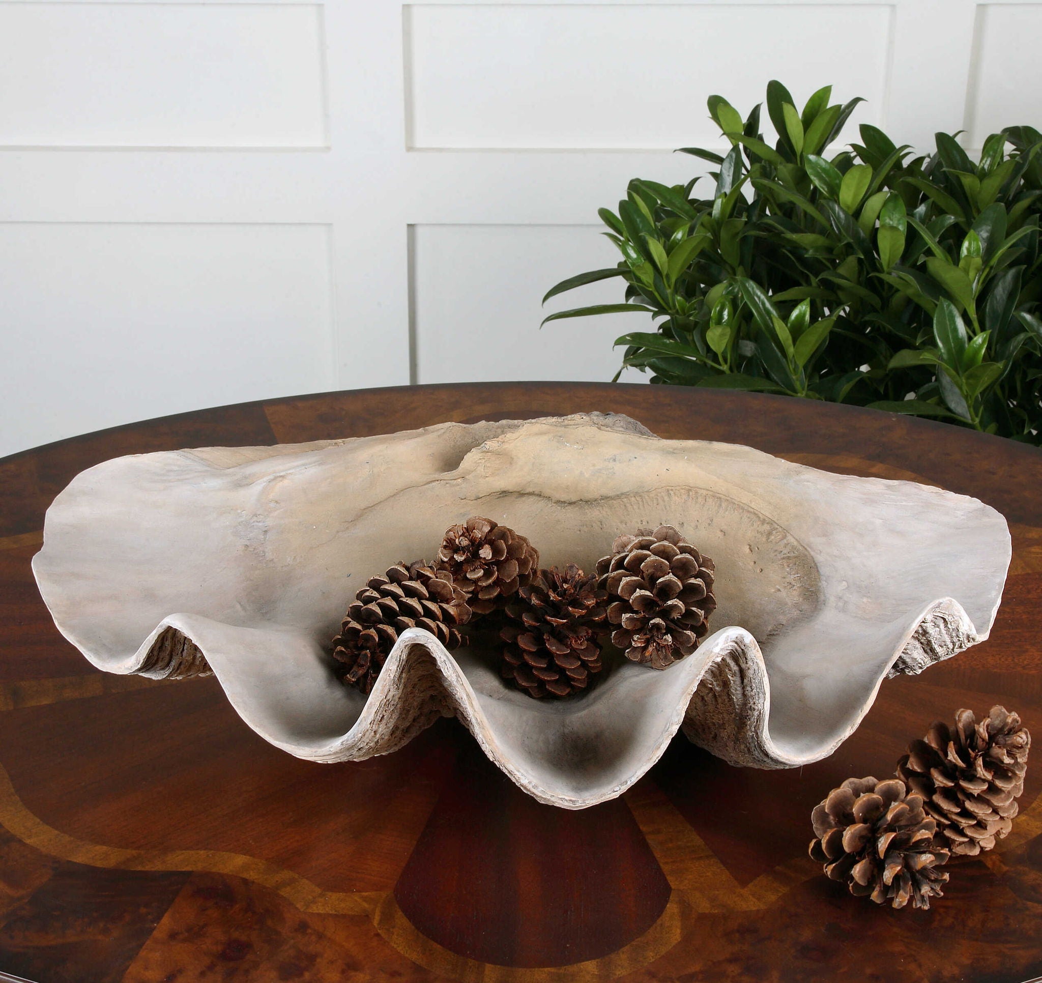 Clam Shell Bowl - Natural Beige Ceramic Serving Dish for Soups, Salads & Desserts | Perfect for Dining, Entertaining & Home Decor