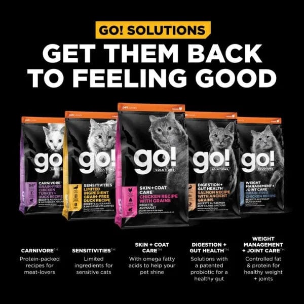 Go! Solutions Skin & Coat Care Chicken Recipe with Grains Dry Cat Food - Premium Protein for Healthy Fur & Skin - Perfect for Indoor & Outdoor Cats