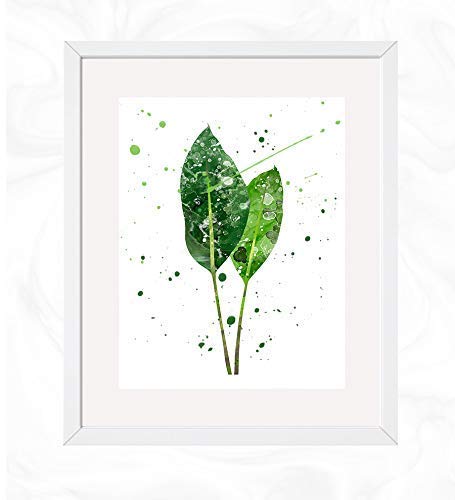 Exotic Bird of Paradise Leaf Prints - Tropical Botanical Watercolor Art for Nursery Wall Decor, Holiday Gifts & Kids Room | Digital Illustration Poster for Home, Office & Classroom Decorations