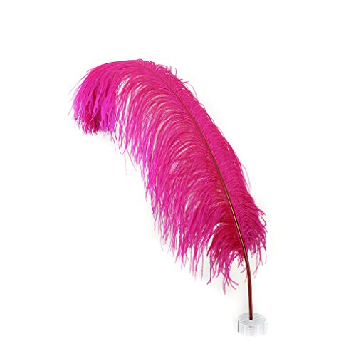 Shocking Pink
