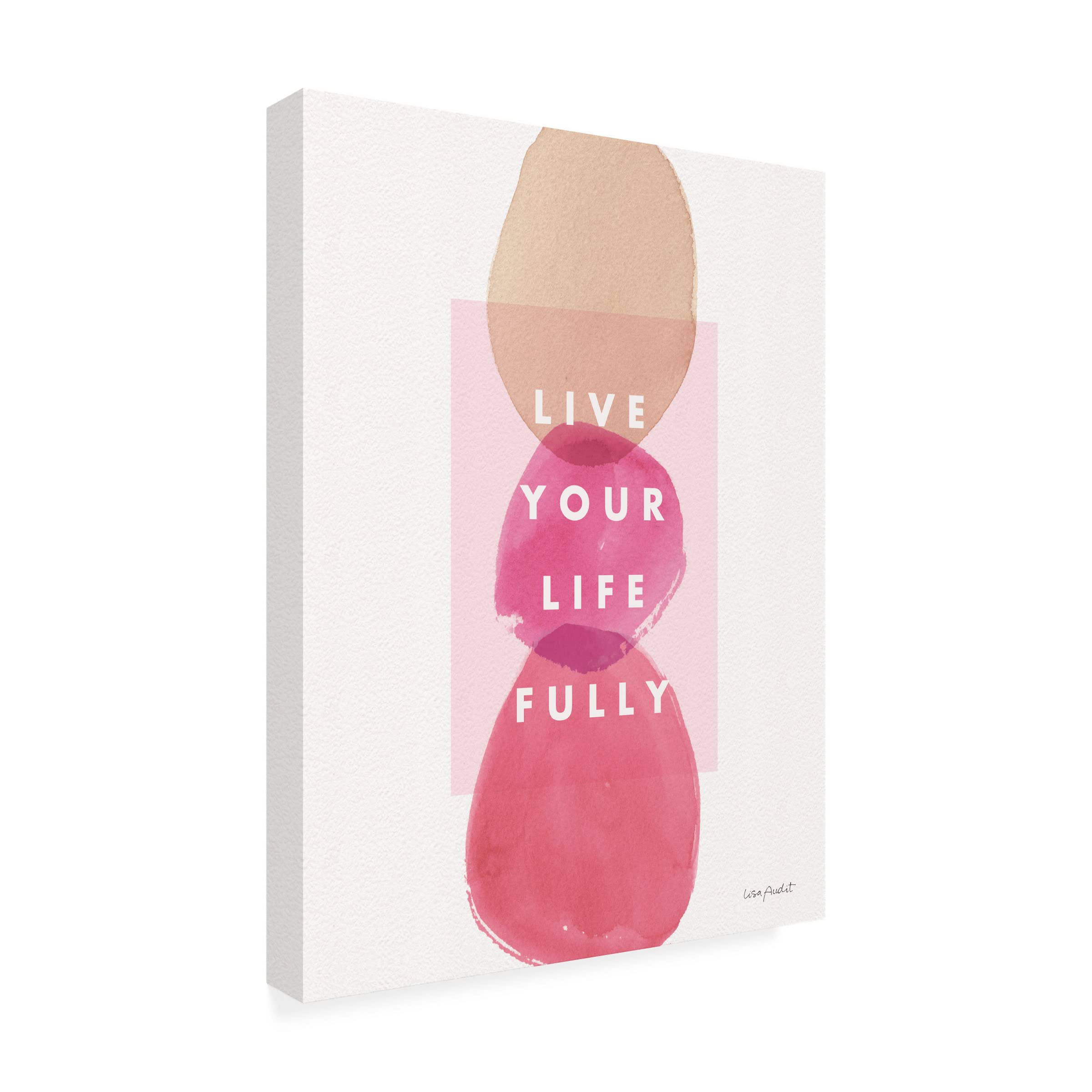 Lisa Audit 'Think Pink 13' Floral Canvas Wall Art Print - Pink & Gold Abstract Flower Painting for Living Room, Bedroom & Office Decor