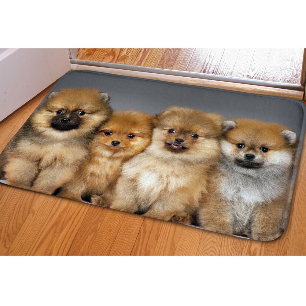 Buybai Cute Dog Design Absorbent Doormat - Non-Slip Entrance Rug for Kitchen, Bathroom, Bedroom & Entryway - Perfect for Pet Owners & Home Decor (Indoor/Outdoor Use)