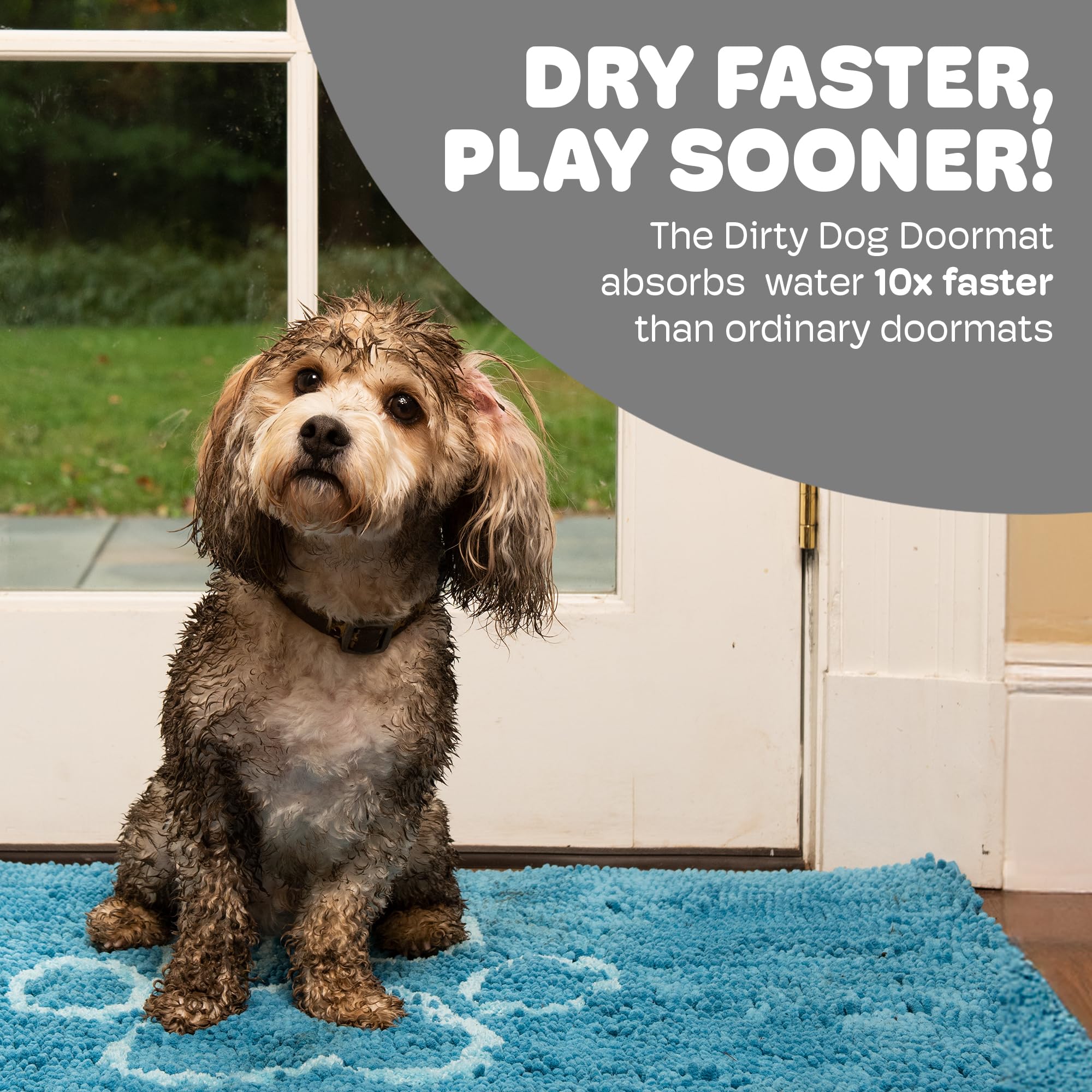 Dog Gone Smart Dirty Dog Doormat - Super Absorbent, Fast Drying Doormat with Non-Slip Backing for Muddy Paws | Machine Washable Pet Entry Mat for Clean Floors | Perfect for Front Door, Backyard & Pet Areas (Aqua)