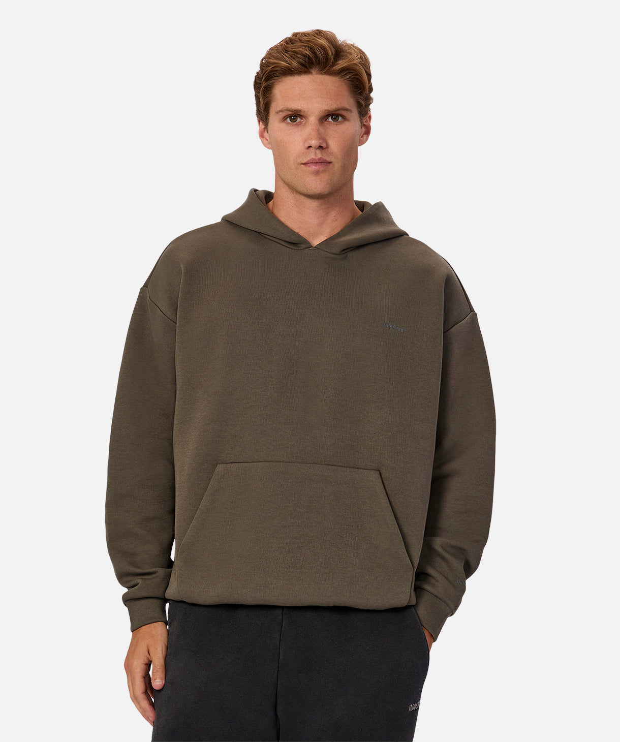 Premium Tech Del Sur Hoodie - Bay Leaf Green | Soft & Comfortable Pullover for Men & Women | Perfect for Casual Wear, Outdoor Activities & Gym