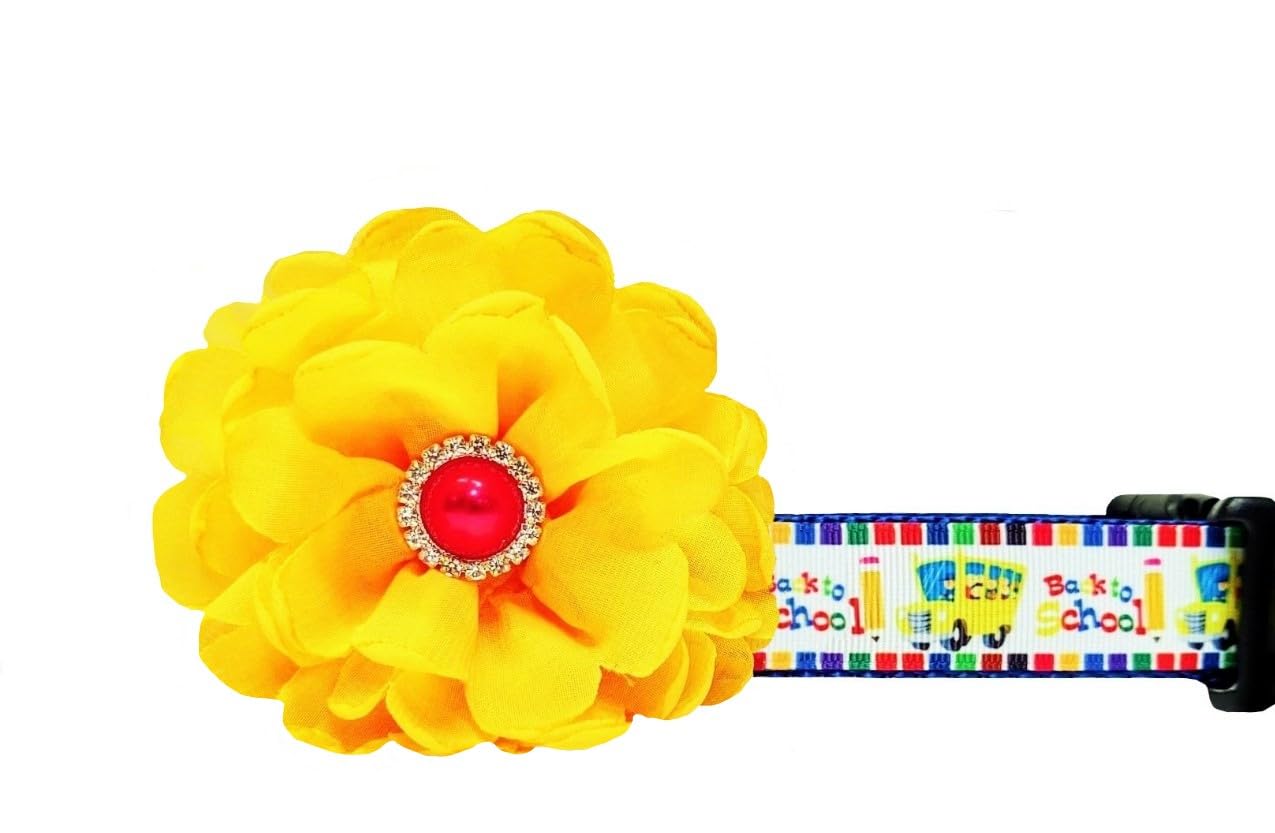Stylish and Durable Dog Collar for Back to School - Perfect for School Pets, Daily Walks & Training