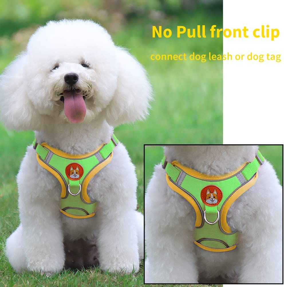 Adjustable No-Pull Dog Harness for Small & Medium Dogs - Reflective Comfort Vest with 2 Leash Clips & Matching Leash Set | Perfect for Walking, Training & Outdoor Adventures