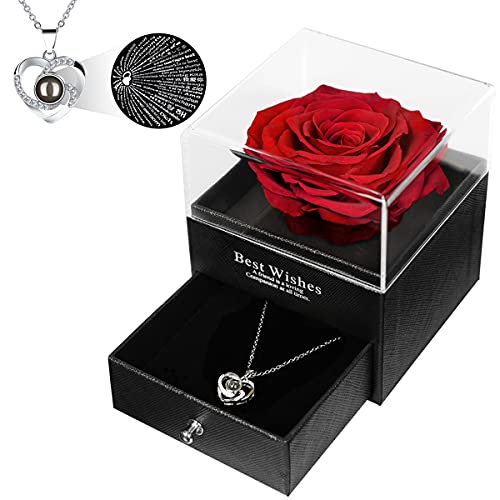 Red Roses