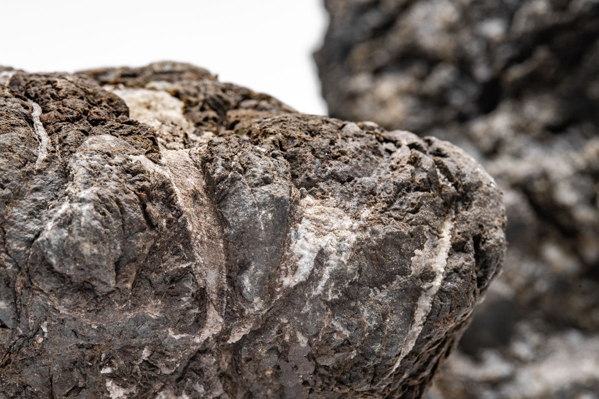 Goliath Stone - Premium Natural Stone for Landscaping & Garden Decor | Perfect for Pathways, Patios & Outdoor Living Spaces