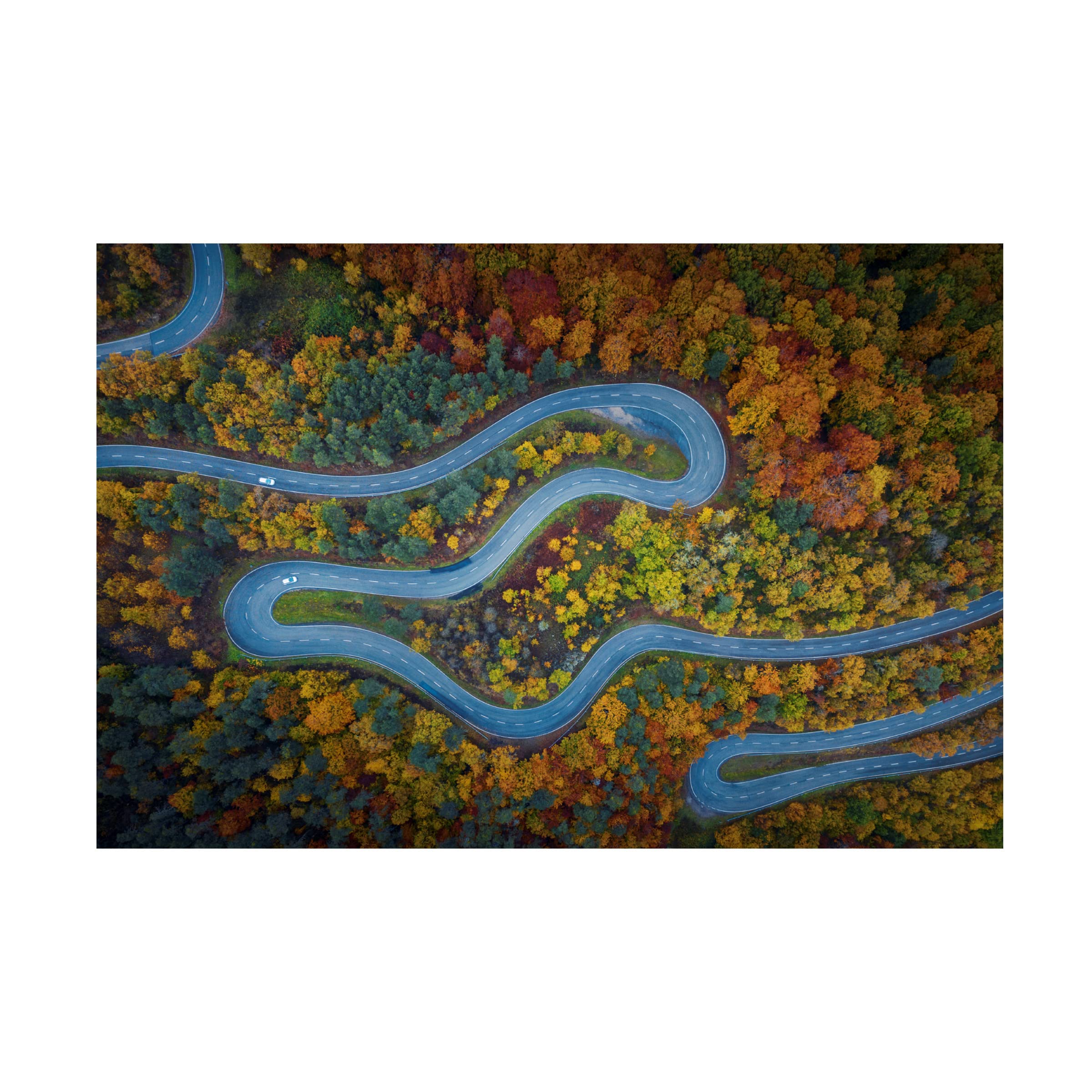 Trademark Fine Art 'Autumn Explodes' Canvas Wall Art by Jose Manuel Martin - Stunning Fall Landscape Painting for Living Room, Bedroom & Office Decor