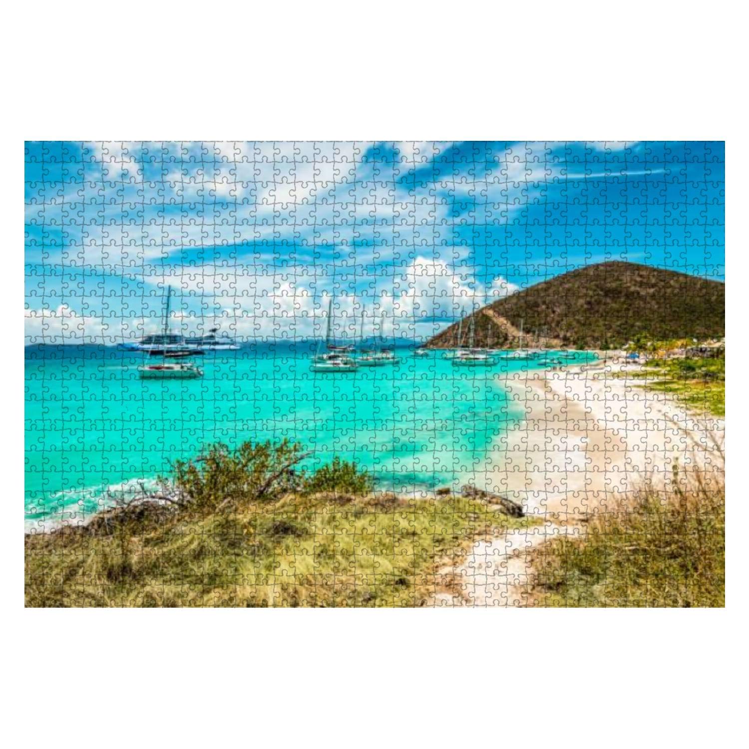 1000-Piece Wooden Jigsaw Puzzle - White Bay Beach Jost Van Dyke British Virgin Islands Scenery - DIY Educational Puzzle for Kids & Adults - Stress Relief Game, Home Decor Gift for Puzzle Lovers (Perfect for Family Game Nights, Classroom Activities & Relaxation Therapy)