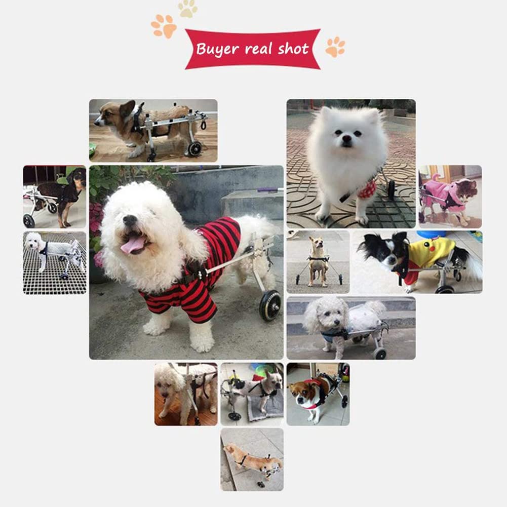 Adjustable & Foldable Dog Wheelchair for Handicapped Pets - Portable Pet Mobility Cart for Hind Leg Rehabilitation - Indoor & Outdoor Use for Small Dogs (XS Size, Wider Design)