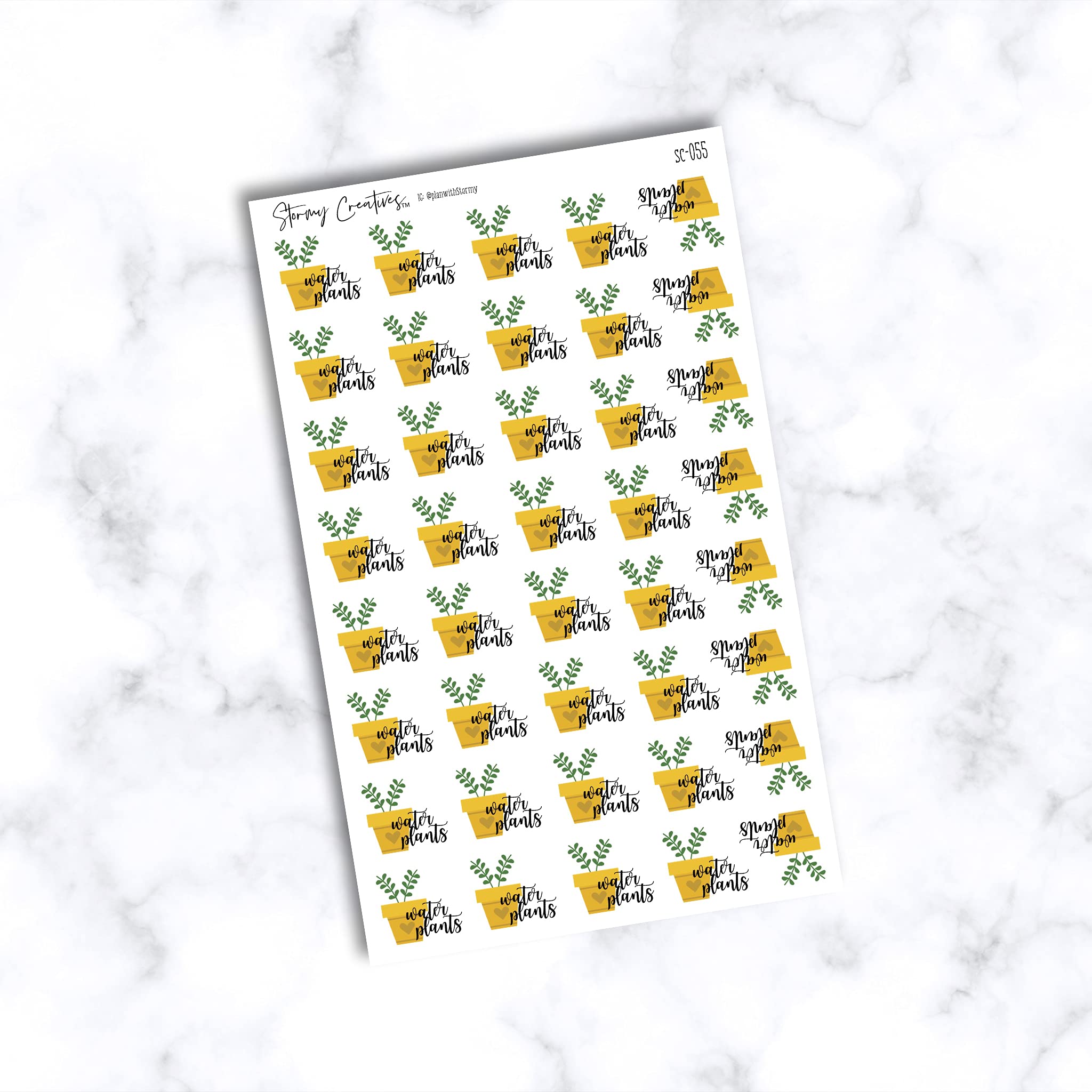 40 Pack 1