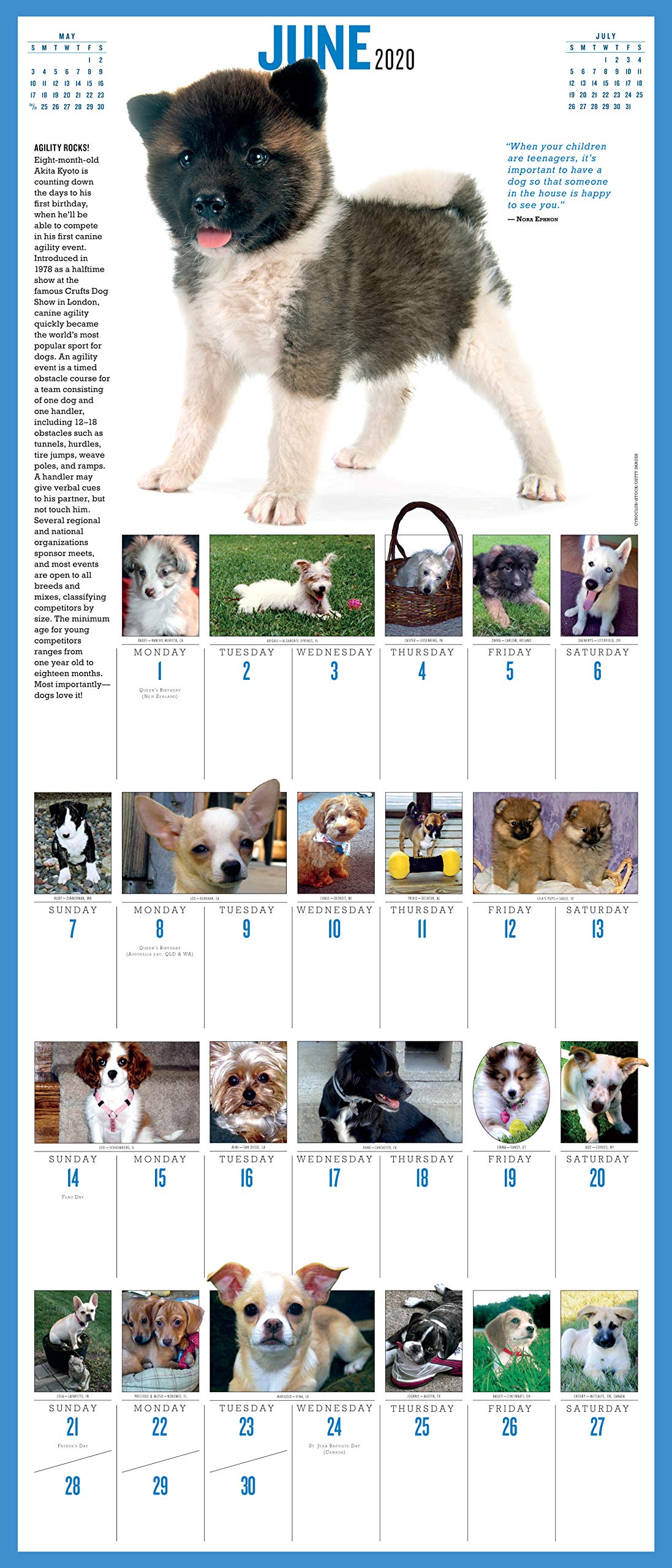 2020 Puppies Daily Wall Calendar - 365 Adorable Puppy Pictures for Dog Lovers | Perfect for Home, Office & Gift Giving