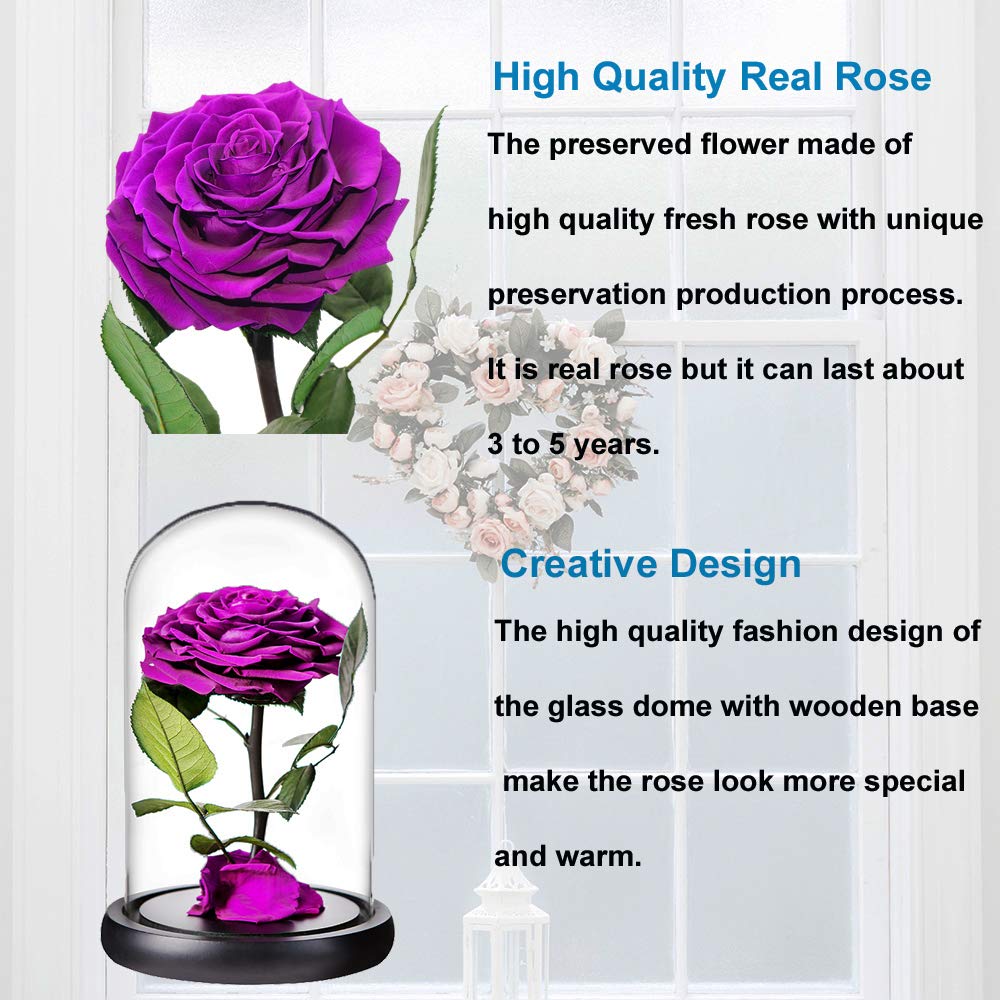 Handmade Real Preserved Purple Roses in Glass Dome - Never Wither Romantic Gift for Her, Mother's Day, Birthday, Anniversary - Perfect for Home Decor, Wedding Centerpieces & Special Occasions (9 inch, Purple)