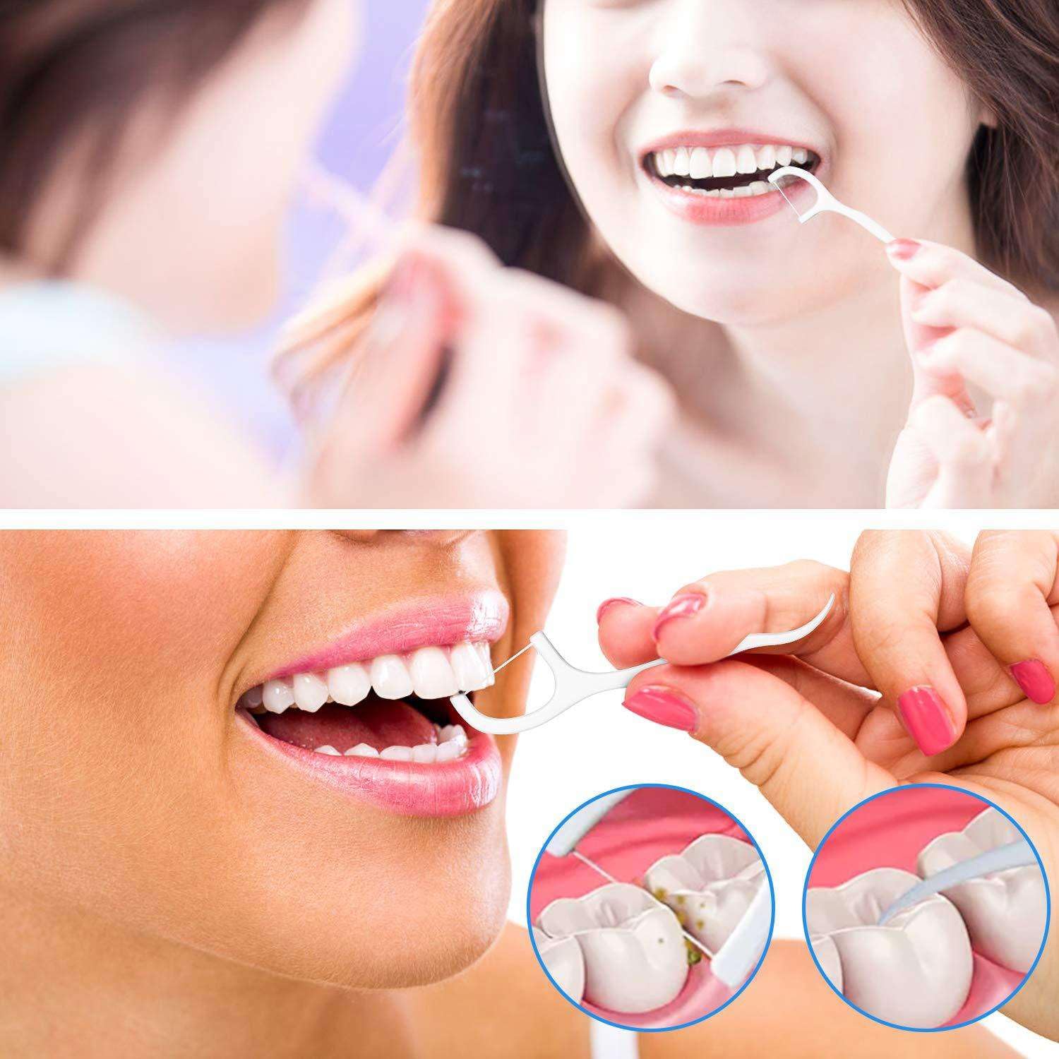 Dental Floss Picks for Adults - 300 Count (6 Boxes) with Travel Case | Mint Flavored Floss Sticks for Teeth Cleaning, Oral Hygiene & On-The-Go Care | Perfect for Travel, Office & Daily Use
