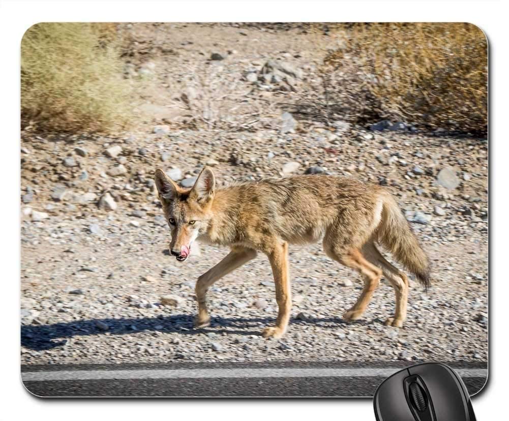 Premium Gaming Mouse Pad - Non-Slip Large Mouse Mat with Valley Death Desert Fox Animal Design for PC, Laptop, Office & Gaming Setup | Perfect for Esports, Work & Home Use