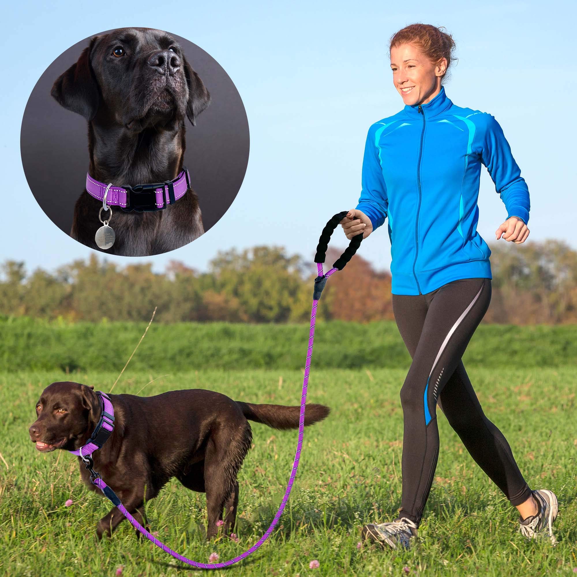 Reflective Adjustable Dog Collar with Soft Neoprene Padding - Breathable Nylon Pet Collar for Small, Medium & Large Dogs - Purple Collar & Leash Set (Perfect for Night Walks, Jogging & Outdoor Adventures)