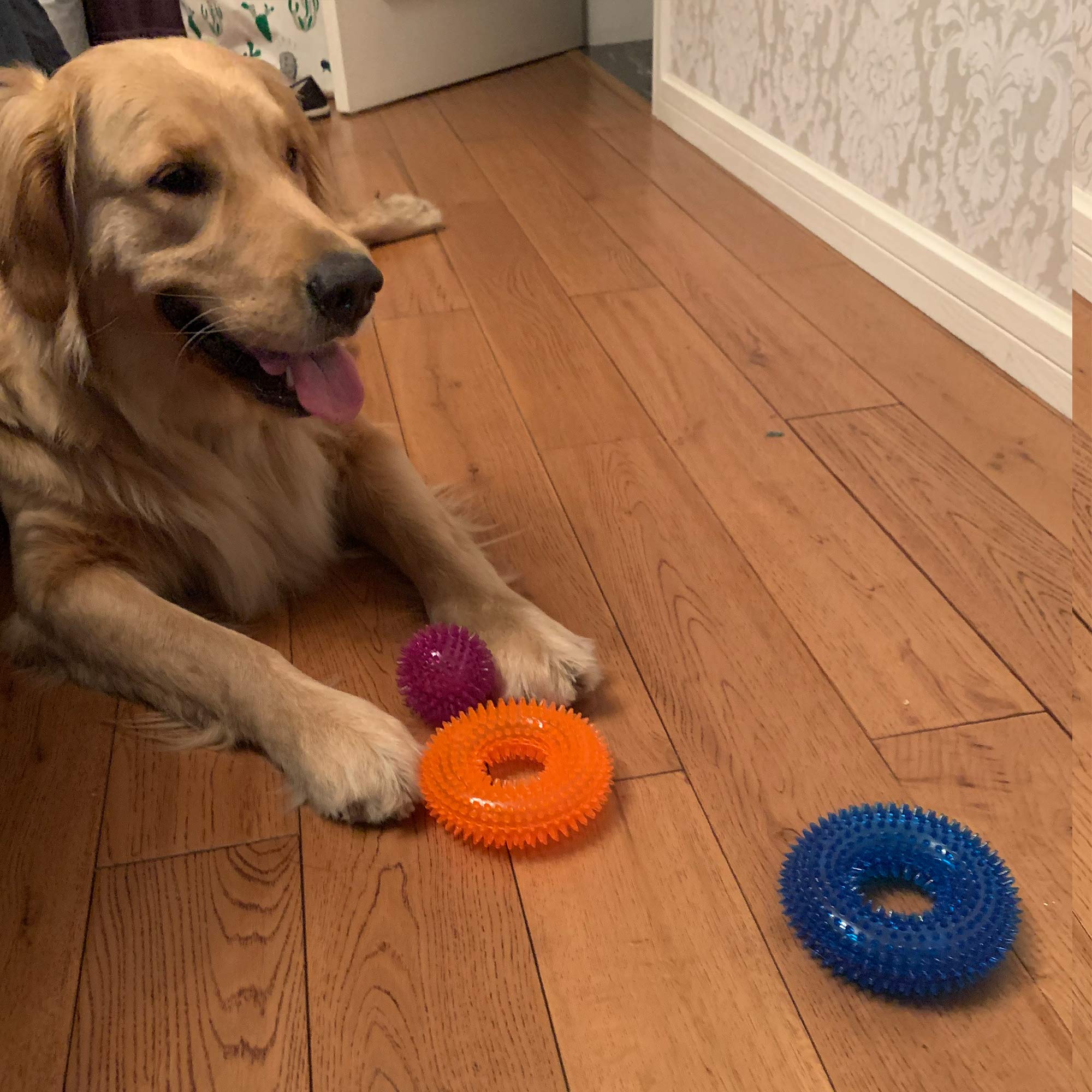 **Non-Toxic Dog Squeaky Toys Set – 3 Pack Spiky Balls for Small & Medium Dogs | TPR Rubber Chew & Fetch Toys for Puppies | Perfect for Indoor Play, Training & Outdoor Fun**