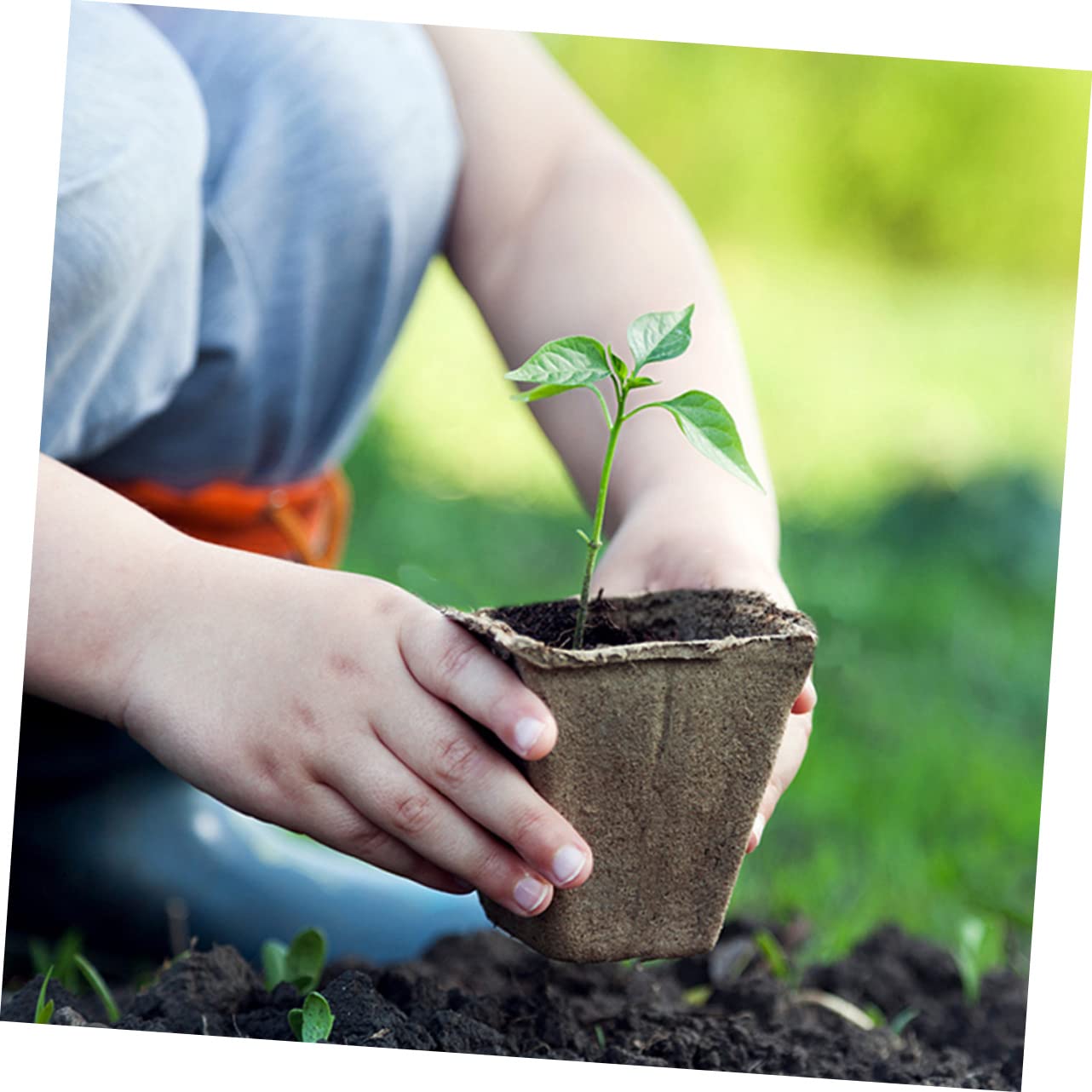 Biodegradable Peat Pots for Seedlings - 3 Pack Eco-Friendly Paper Pulp Plant Nursery Cups for Vegetables, Herbs & Flowers | Perfect for Indoor Gardening, Greenhouses & Sustainable Planting