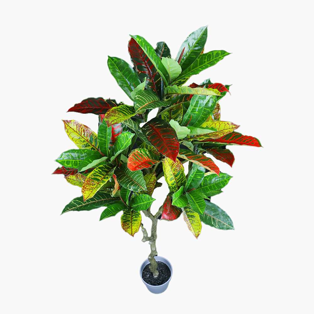 125cm Faux Artificial Codiaeum Variegatum Plant - Realistic Potted Croton Houseplant for Home Decor, Office, Living Room & Indoor Greenery