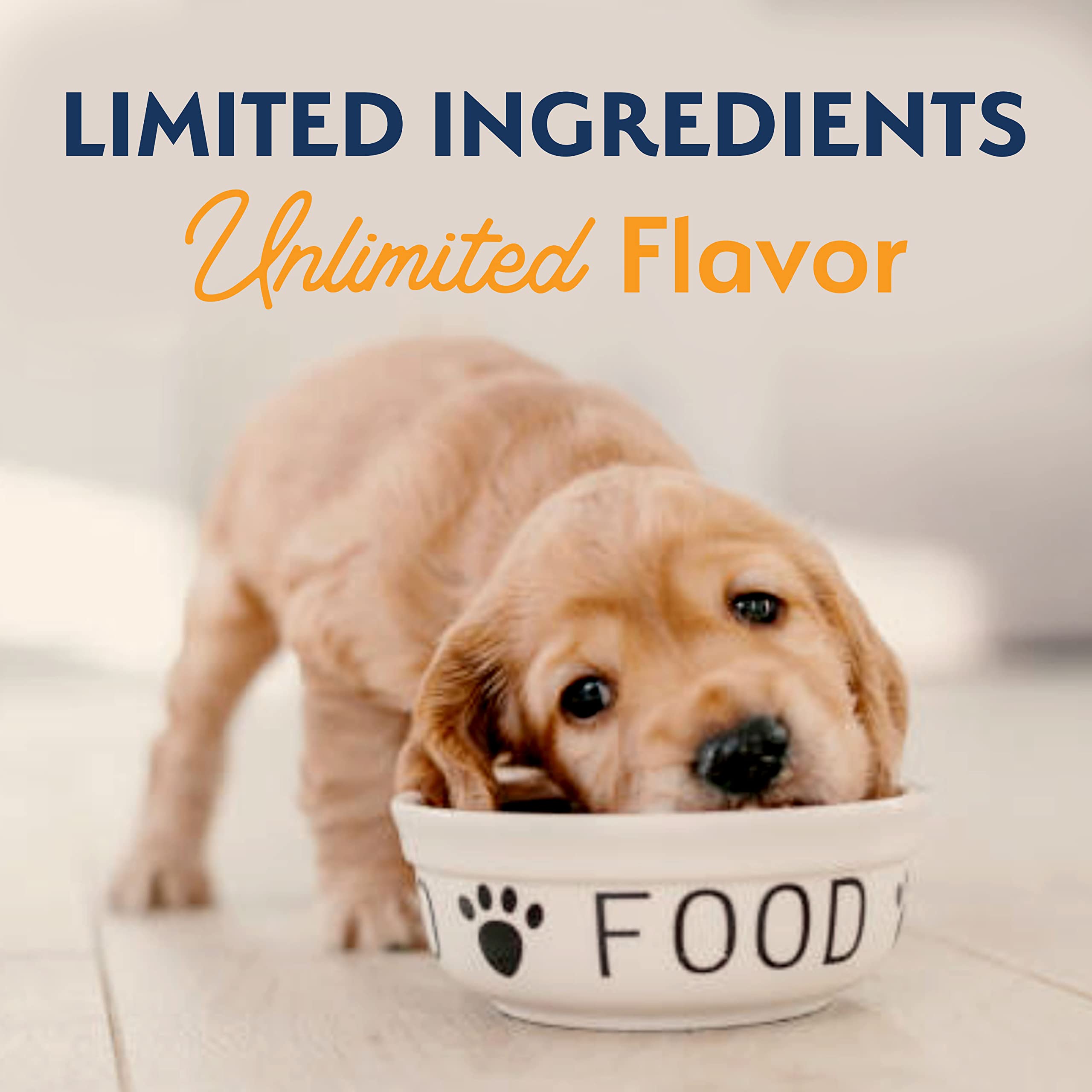 Natural Balance Limited Ingredient Puppy Grain-Free Dry Dog Food - Duck & Potato Recipe, 12lb (Pack of 1) | Hypoallergenic Kibble for Sensitive Stomachs | Perfect for Puppy Training & Daily Nutrition