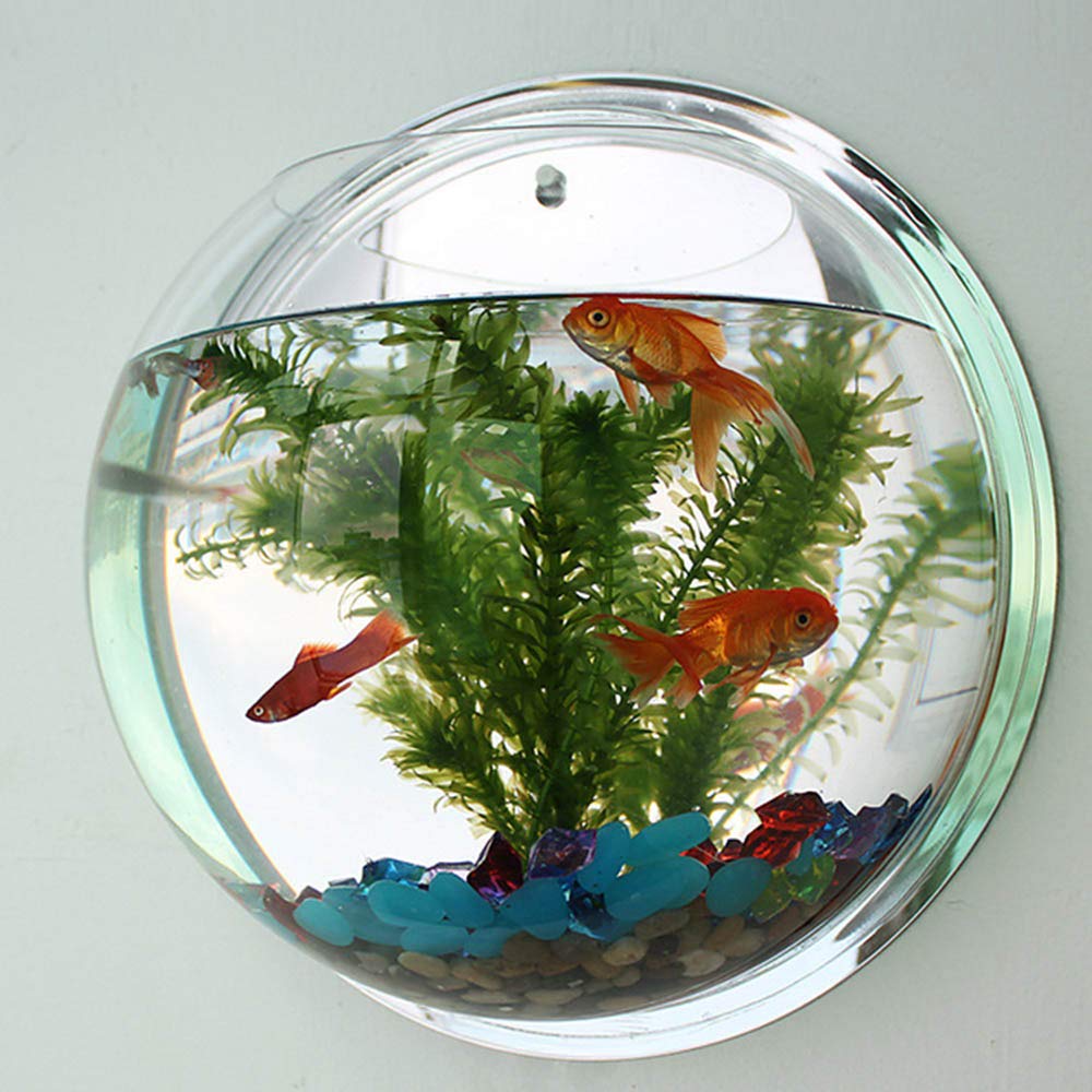 Hanging Acrylic Fish Tank Bowl - 32.5cm Wall Aquarium for Plants & Pets | Home Decor