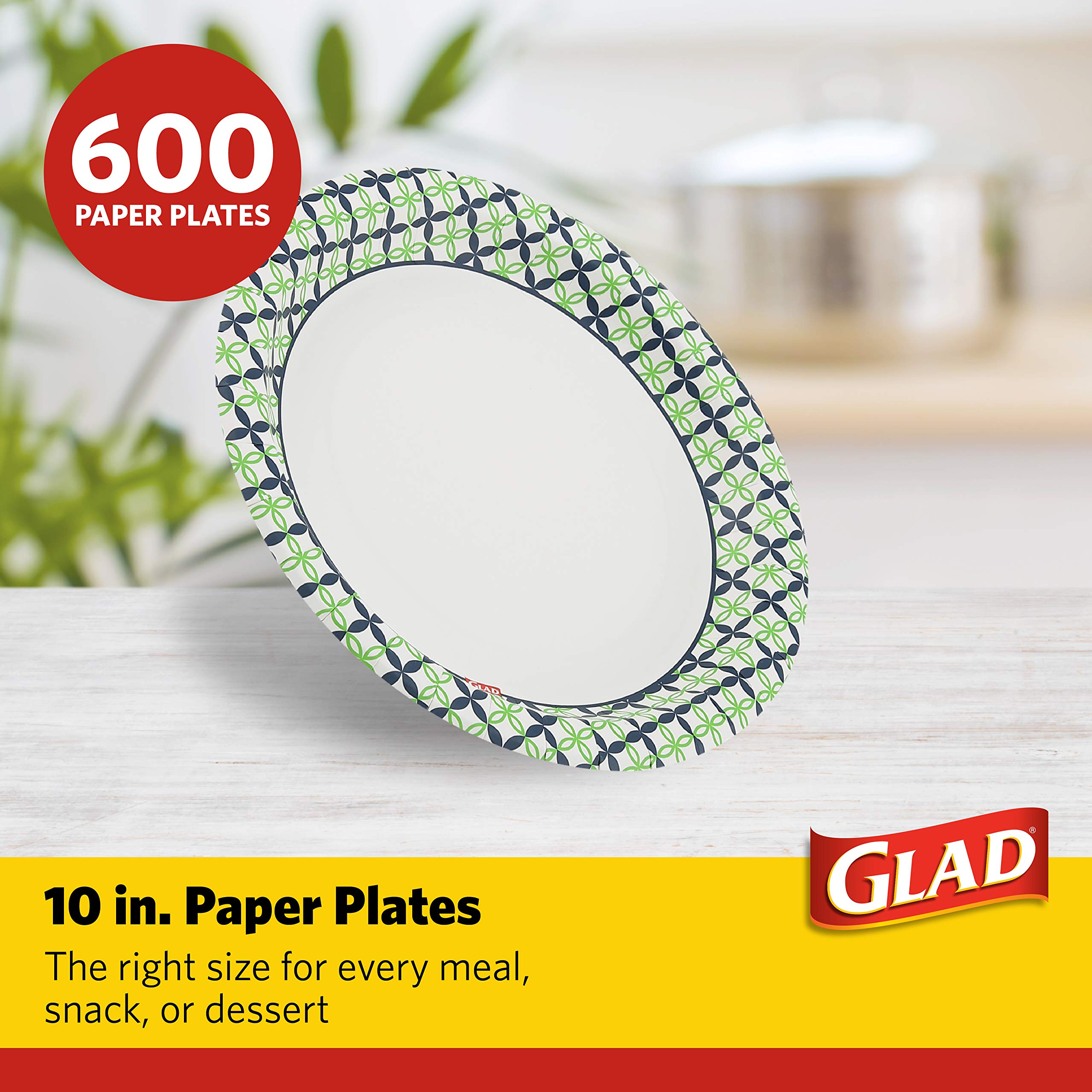 Happy Daisies Disposable Paper Plates - 10 Inch Round Plates with Blue & Green Floral Design, 600 Count for Parties, Picnics & Everyday Use
