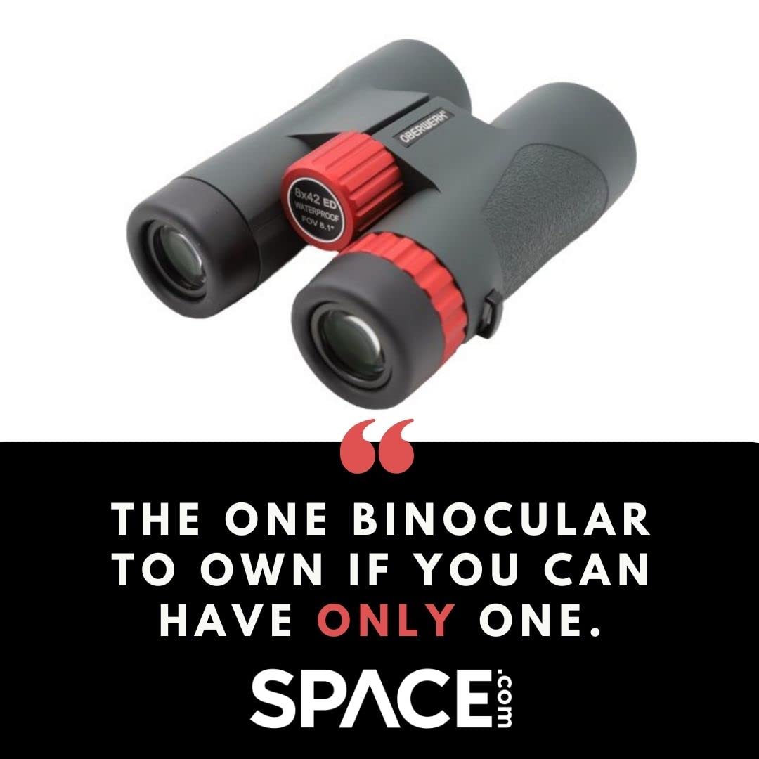8x42 Sport ED Binoculars for Adults - Professional HD Optics for Hiking, Bird Watching & Outdoor Adventures - Lightweight & Durable for Travel, Hunting & Wildlife Observation