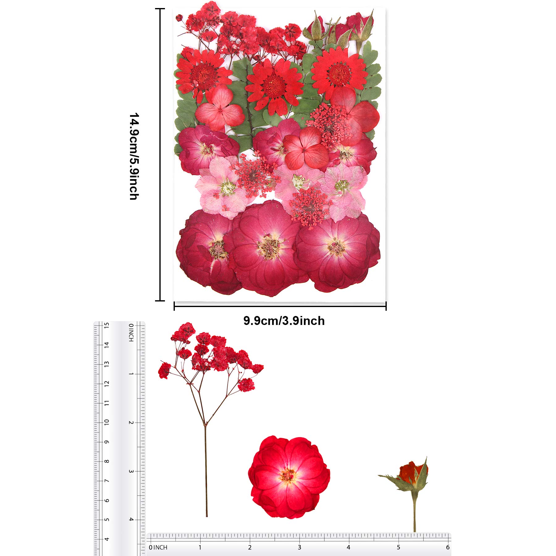 Augshy Red Dried Pressed Flowers - Natural Pressed Rose Petals for Resin Jewelry, Nail Art & DIY Crafts | Perfect for Epoxy Molds, Scrapbooking & Home Decor