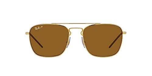 Gold/Dark Brown Polarized