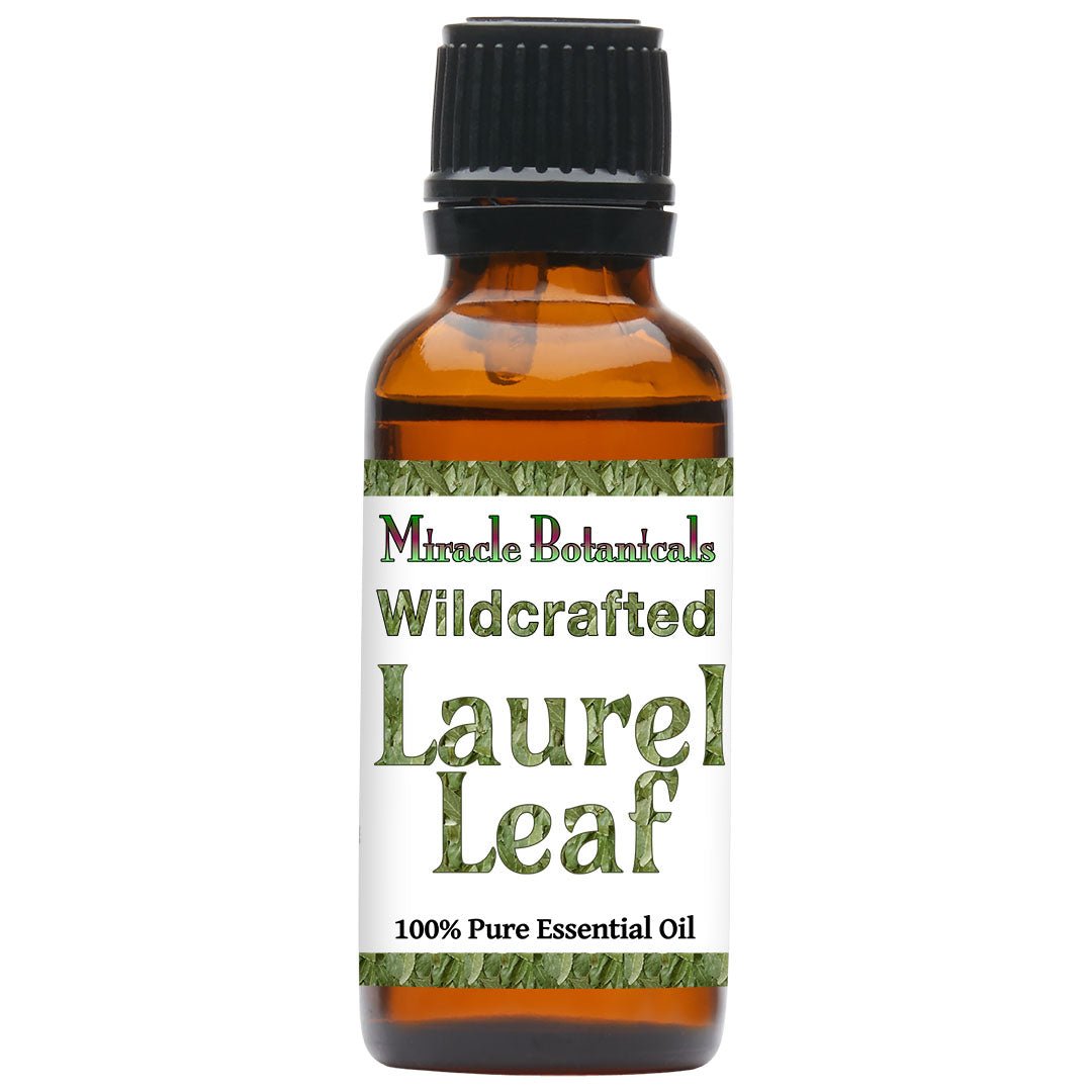 Pure Laurel Leaf Essential Oil (Laurus Nobilis) - 100% Wildcrafted & Natural for Aromatherapy, Massage & Relaxation - Perfect for Diffusers, DIY Skincare & Home Spa