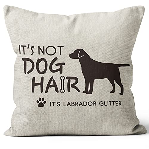Labrador Dog