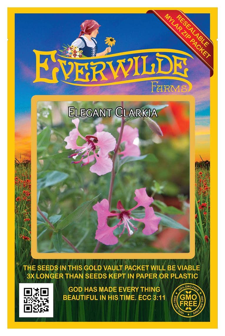 Everwilde Farms - 2000 Elegant Clarkia Native Wildflower Seeds - Gold Vault Jumbo Seed Packet for Garden Landscaping & Pollinator Gardens