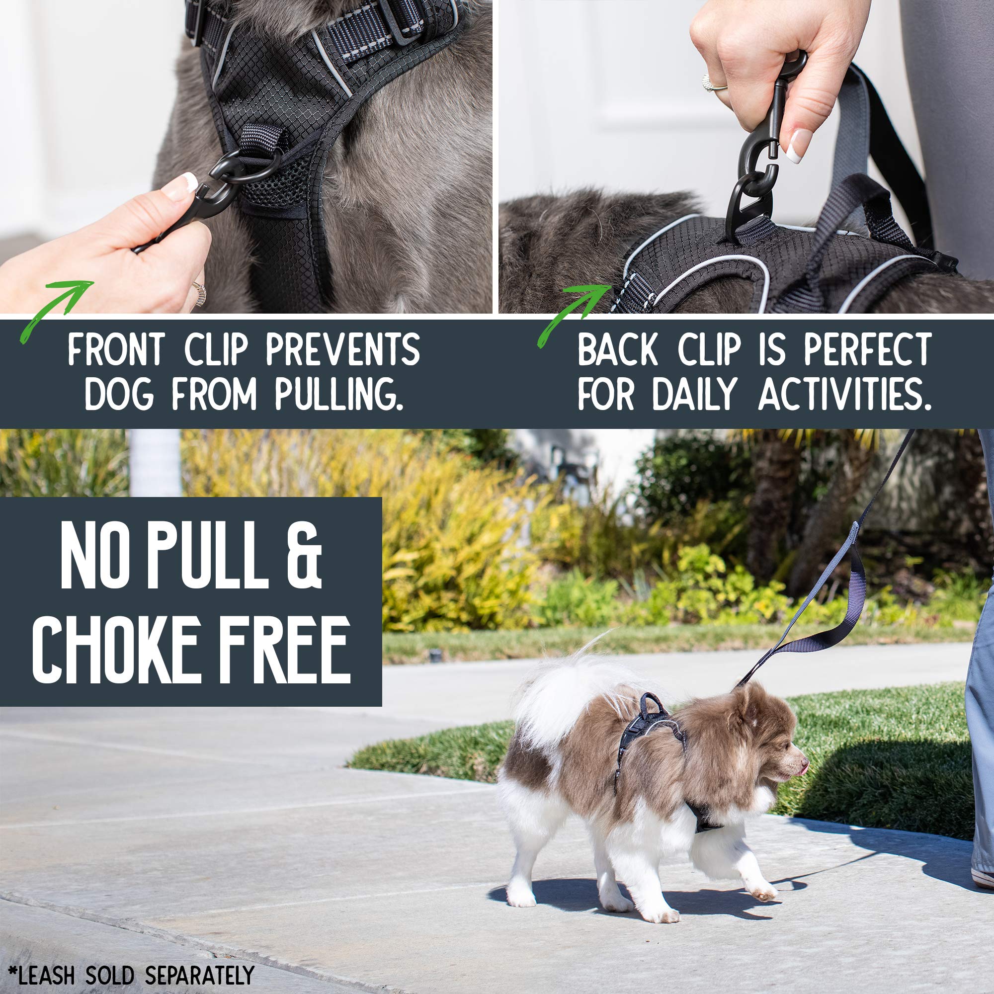 Premium Small Dog Harness for Walking & Training - Durable Pet Safety Vest with Adjustable Straps - Perfect for Outdoor Adventures, Hiking & Daily Walks