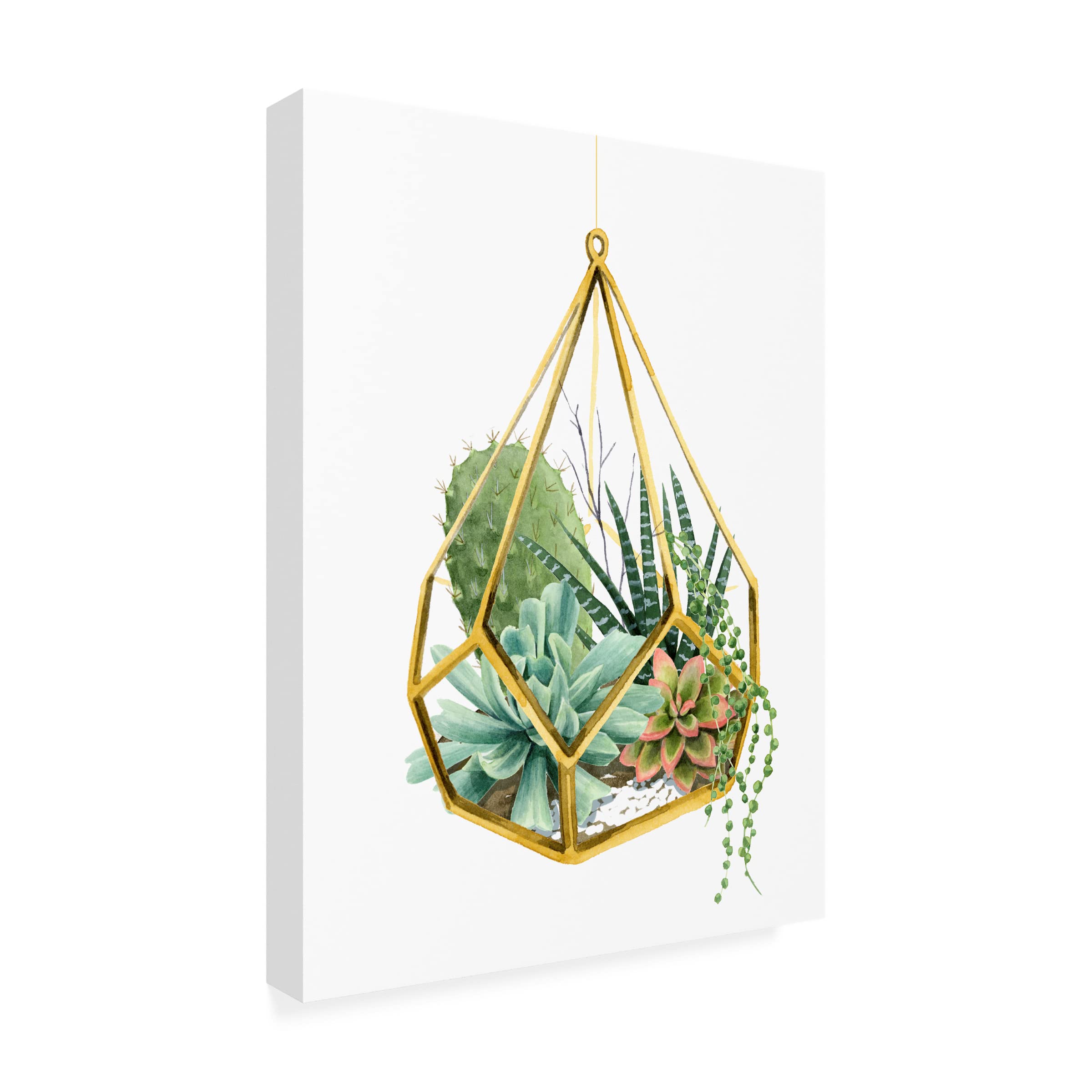 Grace Popp Wild Terrarium II Canvas Wall Art - Modern Botanical Home Decor for Living Room, Bedroom & Office - Stretched Framed Ready to Hang