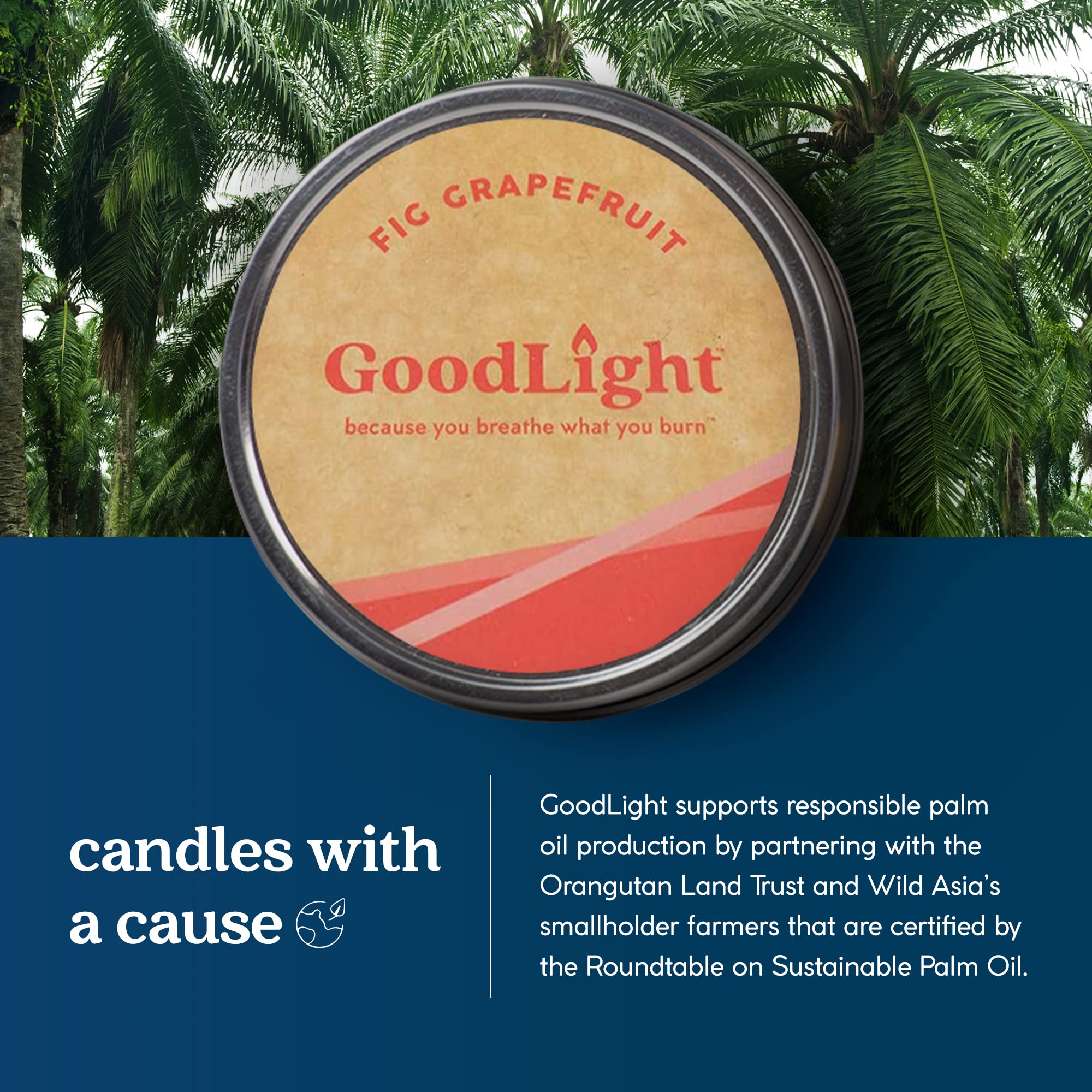 Eco-Friendly Paraffin-Free Scented Candle in Tin - 30 Hour Burn Time, Fig Grapefruit Aroma (6 oz) | Perfect Birthday Gift for Women & Men, Home Decor, Romantic Dinner, Relaxation & Spa Nights