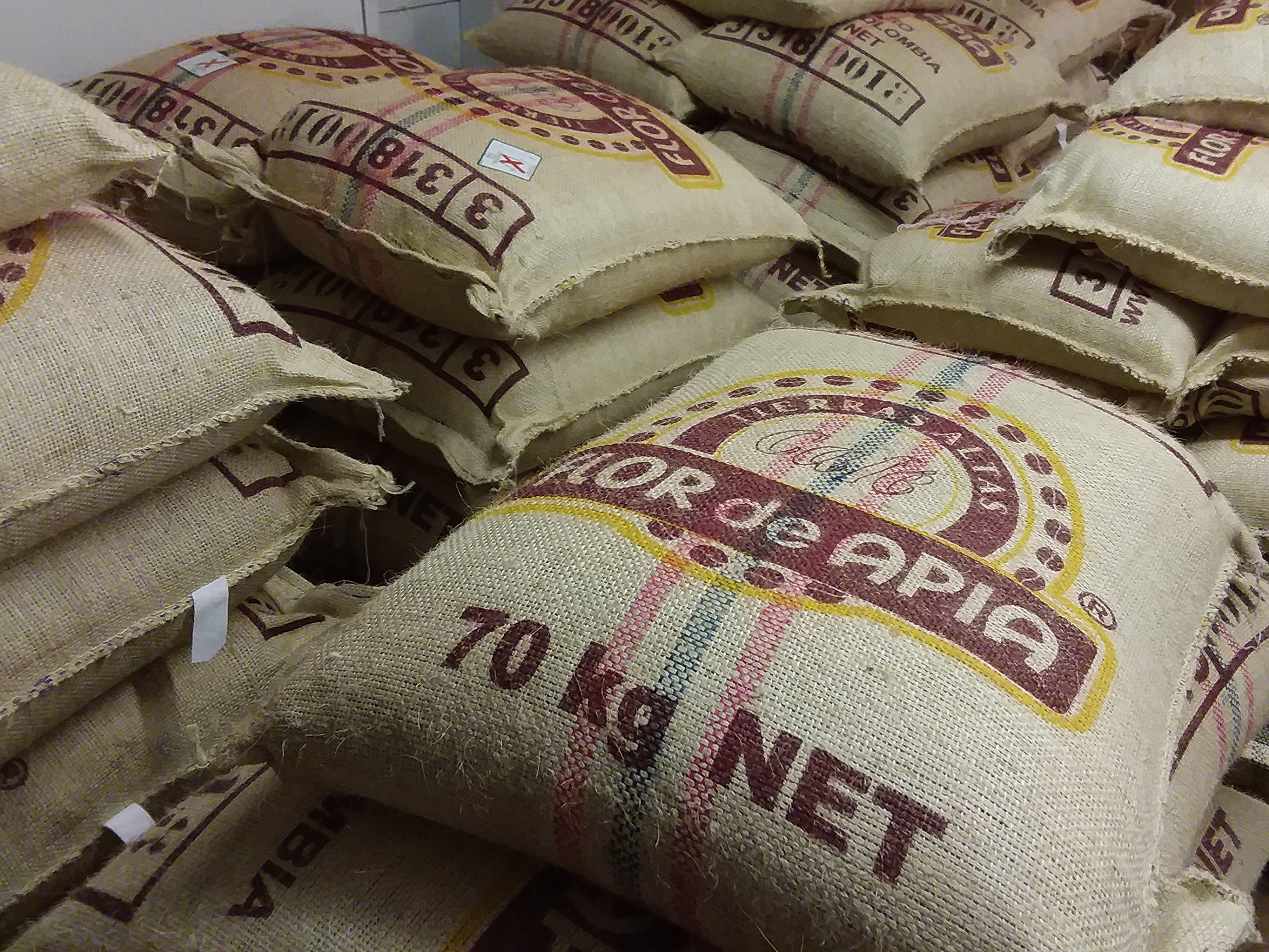 Premium Raw Unroasted Arabica Green Coffee Beans from Farm La Compañia - 10 lb Bulk for Home Roasting, Cold Brew & Specialty Coffee Making - Perfect for Coffee Enthusiasts & Small Businesses