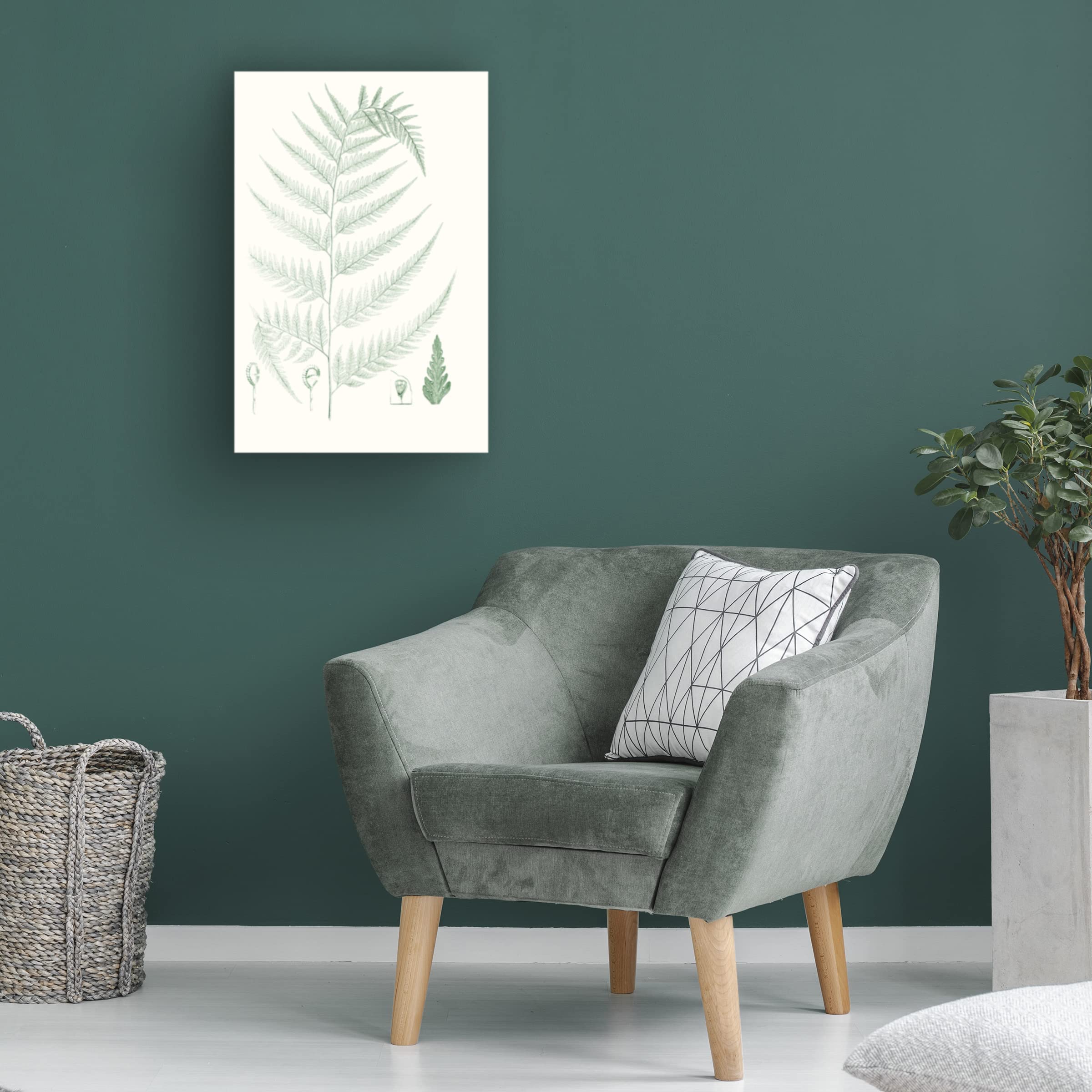 Trademark Fine Art 'Verdure Ferns III' Canvas Wall Art Print by Vision Studio - Nature Inspired Botanical Decor for Living Room, Bedroom & Office