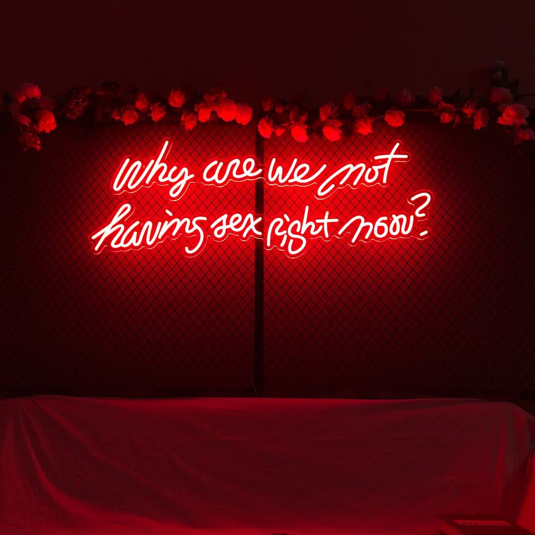 Why Aren't We Having Sex Right Now