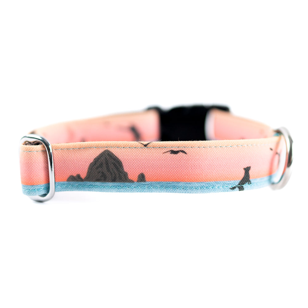 Premium Cannon Beach Dog Collar - Durable Nylon Pet Collar with Adjustable Buckle for Small Medium Large Dogs - Perfect for Beach Walks, Hiking & Outdoor Adventures