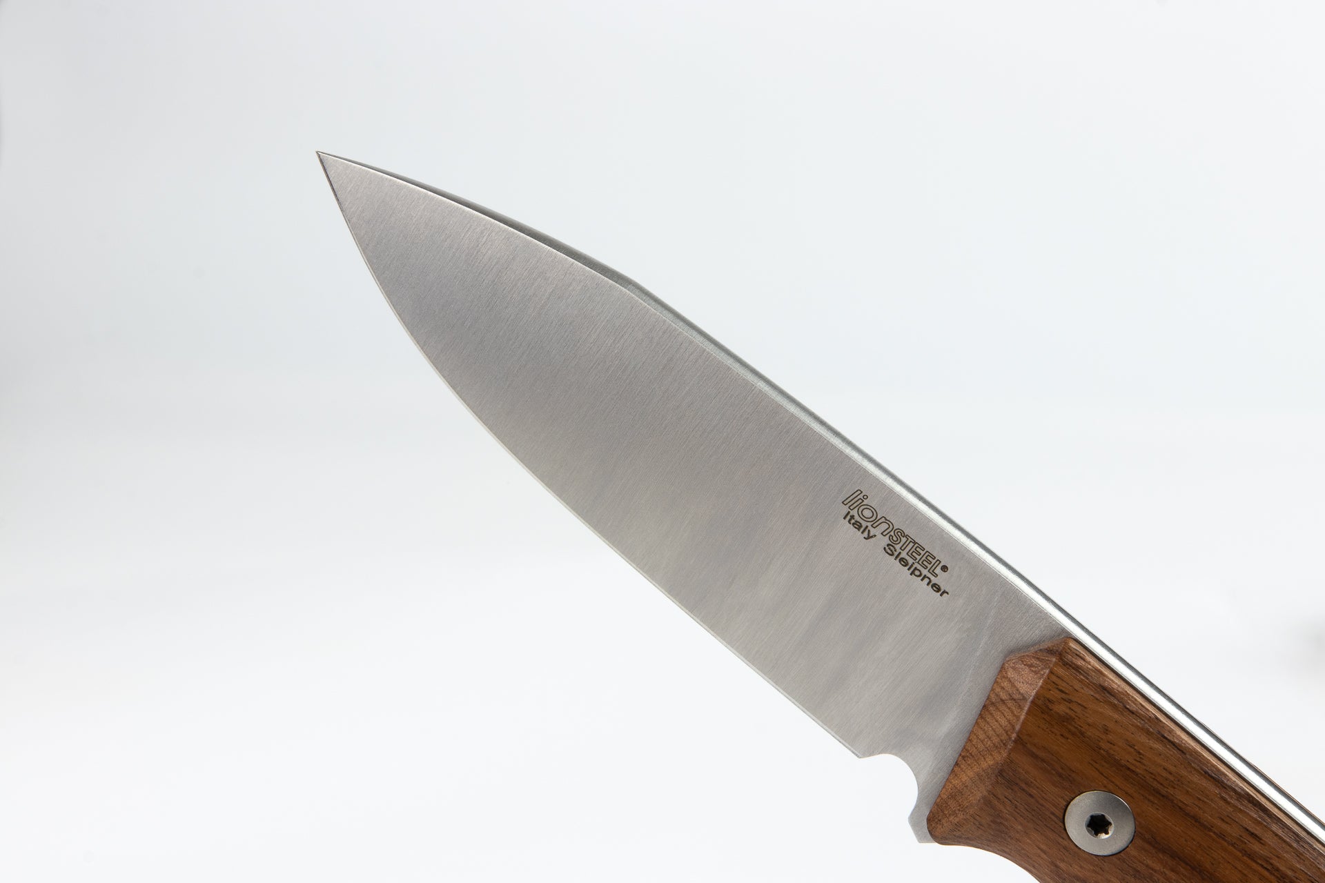 Lionsteel LSTB35ST B35 Fixed Blade Knife with Santos Wood Handle - Hunting, Camping, and Outdoor Survival Tool